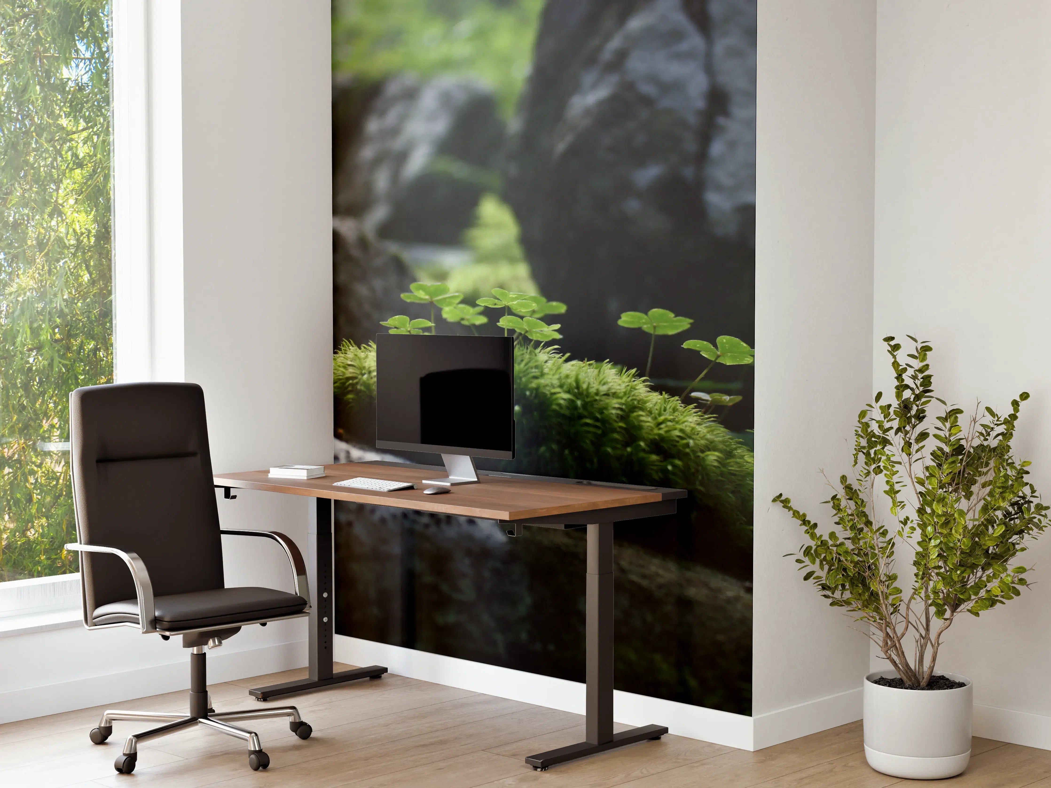 Büro Wandgestaltung - Moosbedeckte Steine im Sonnenlicht