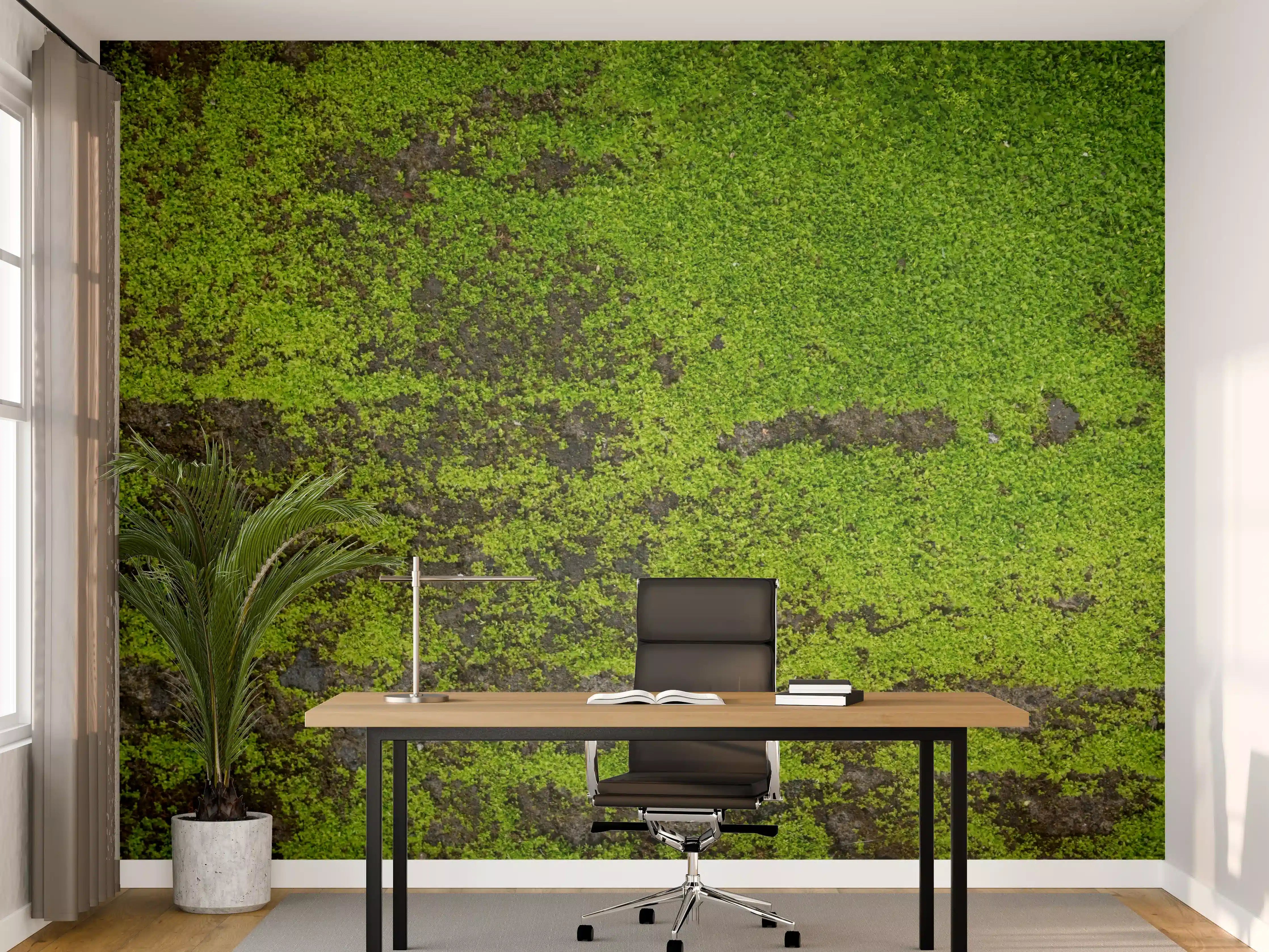 Büro Wandgestaltung - Moosgrün Grunge Textur Banner