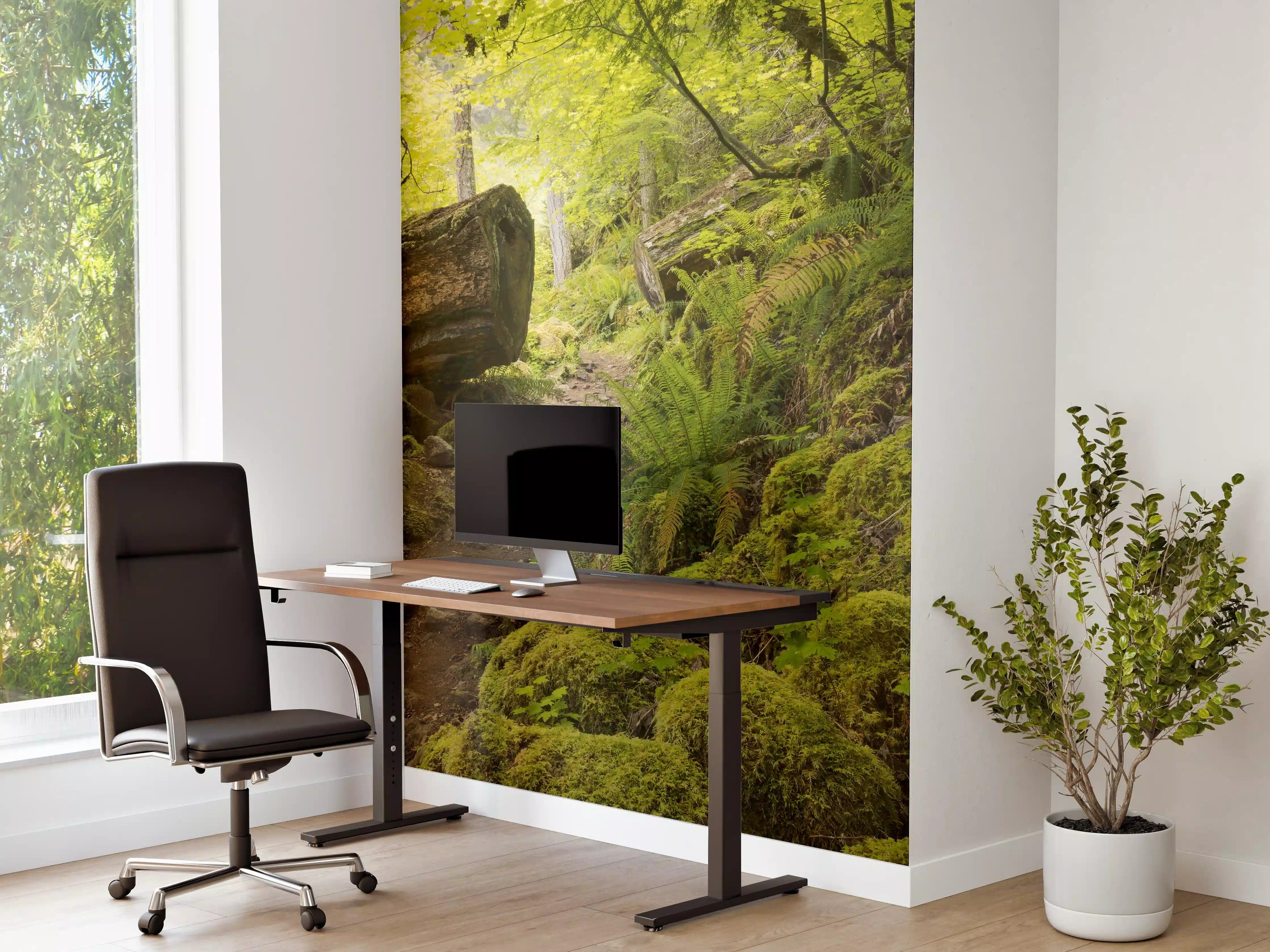 Büro Wandgestaltung - Moosiger Weg im Wald