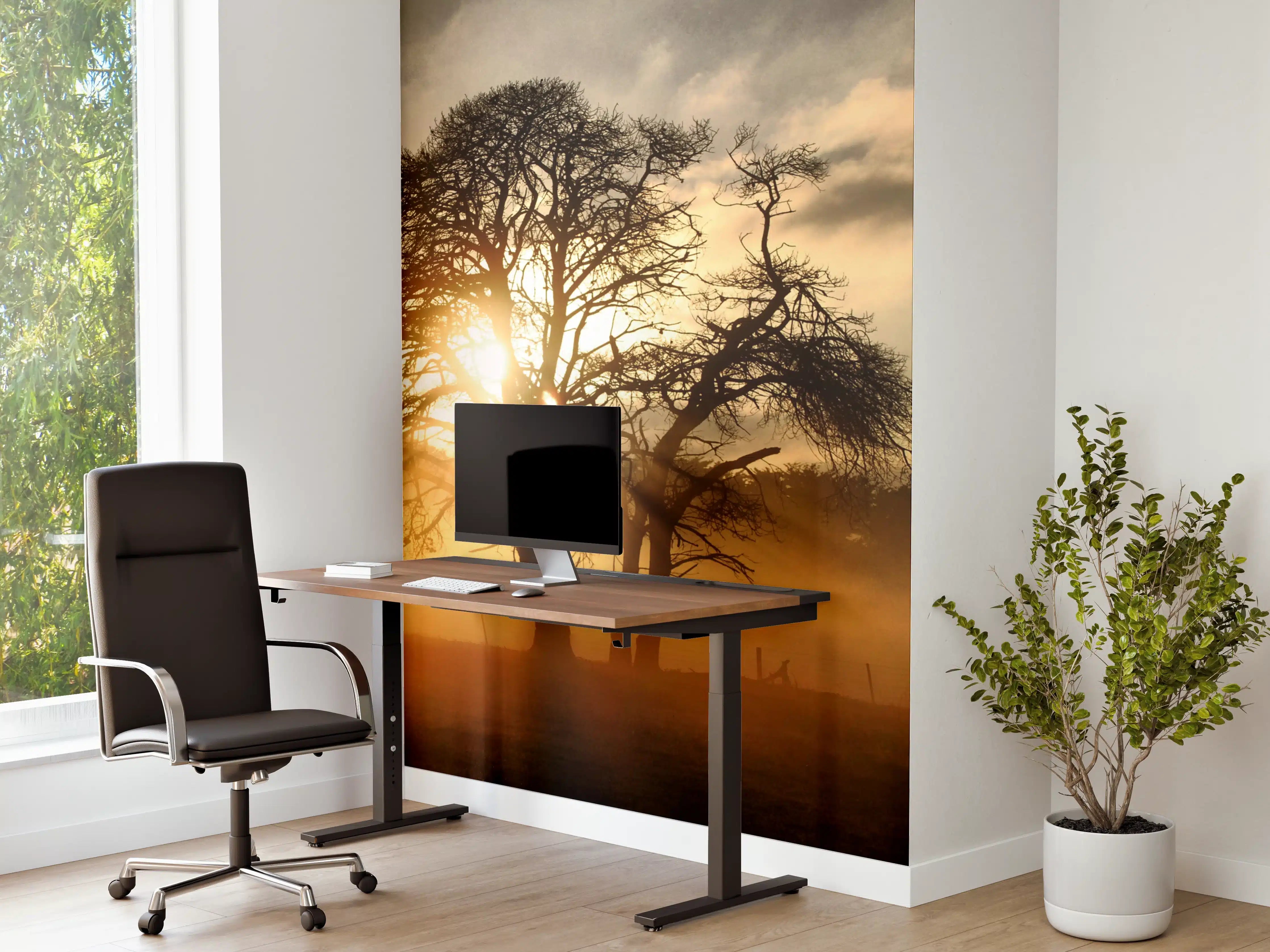 Büro Wandgestaltung - Morgenlicht durch graue Äste