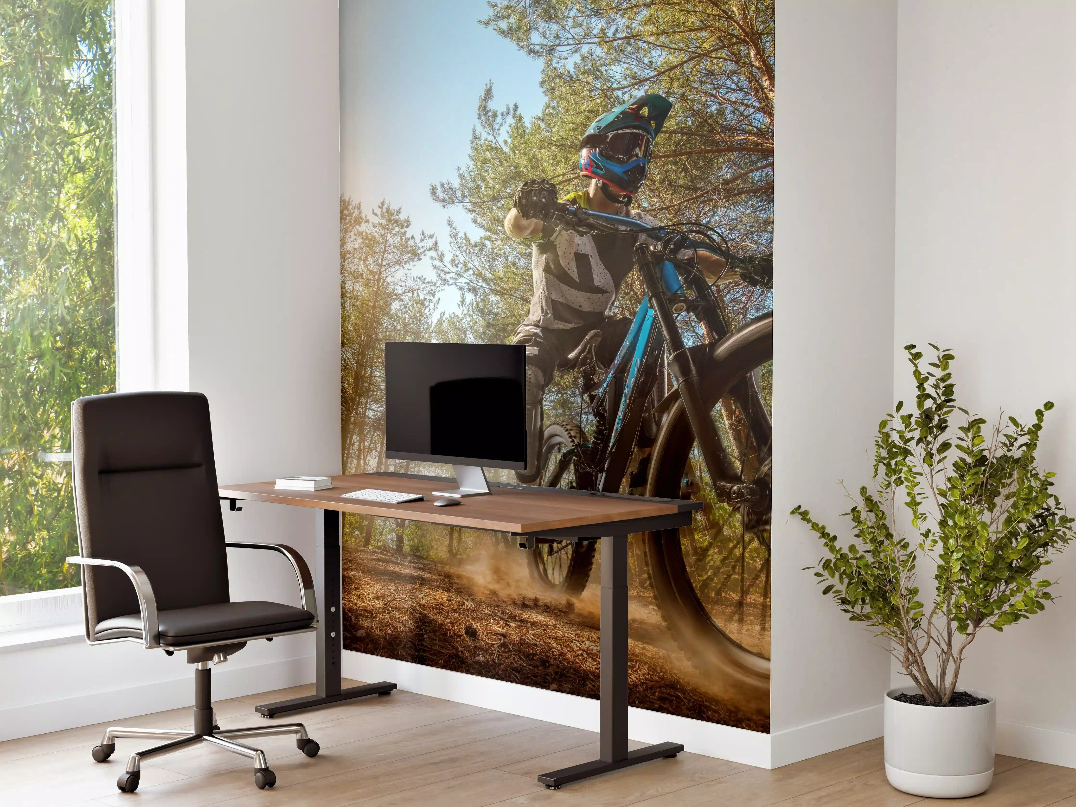 Büro Wandgestaltung - Mountainbiker auf Waldweg