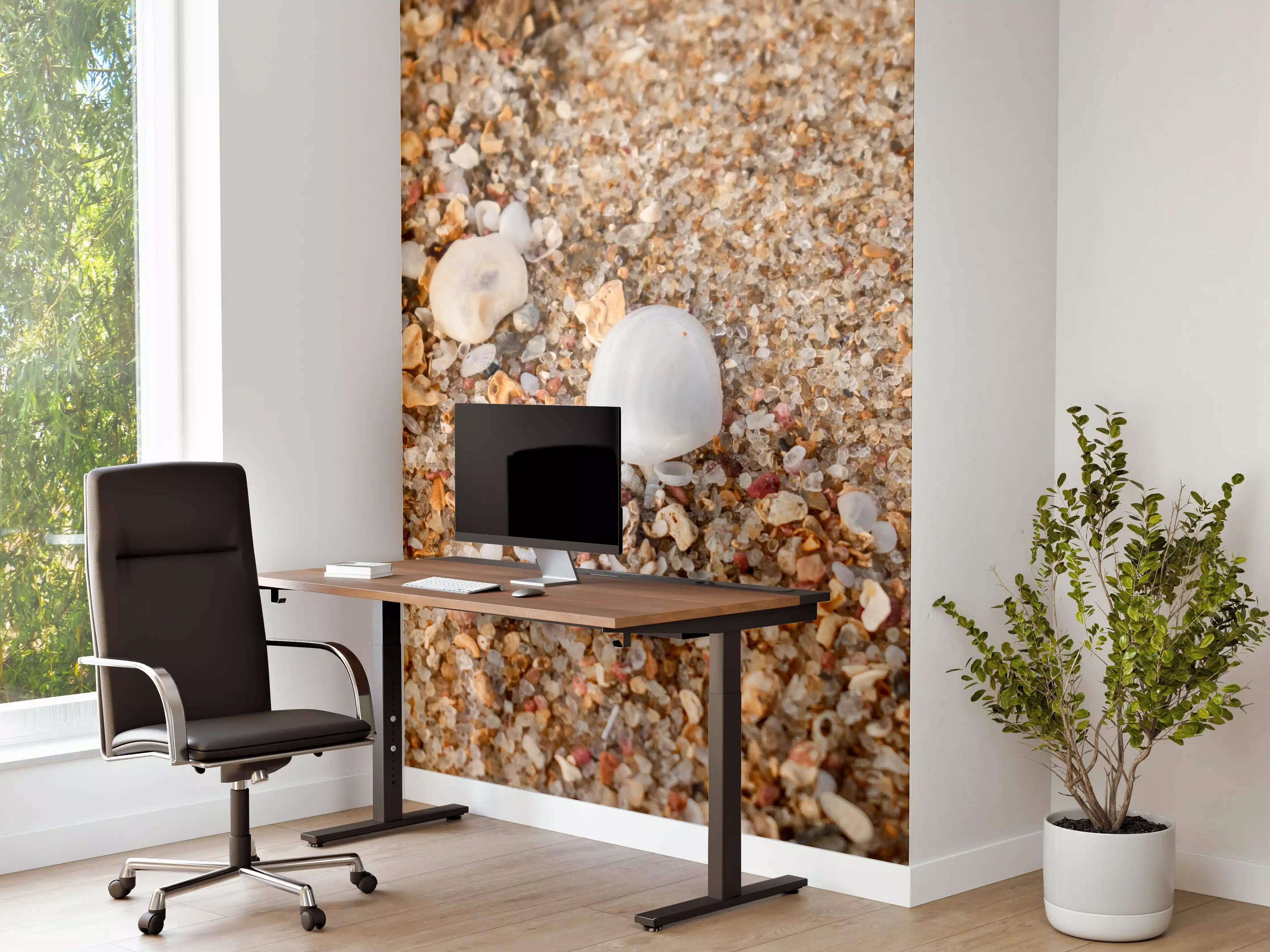 Büro Wandgestaltung - Muscheln im Strandsand. Shell