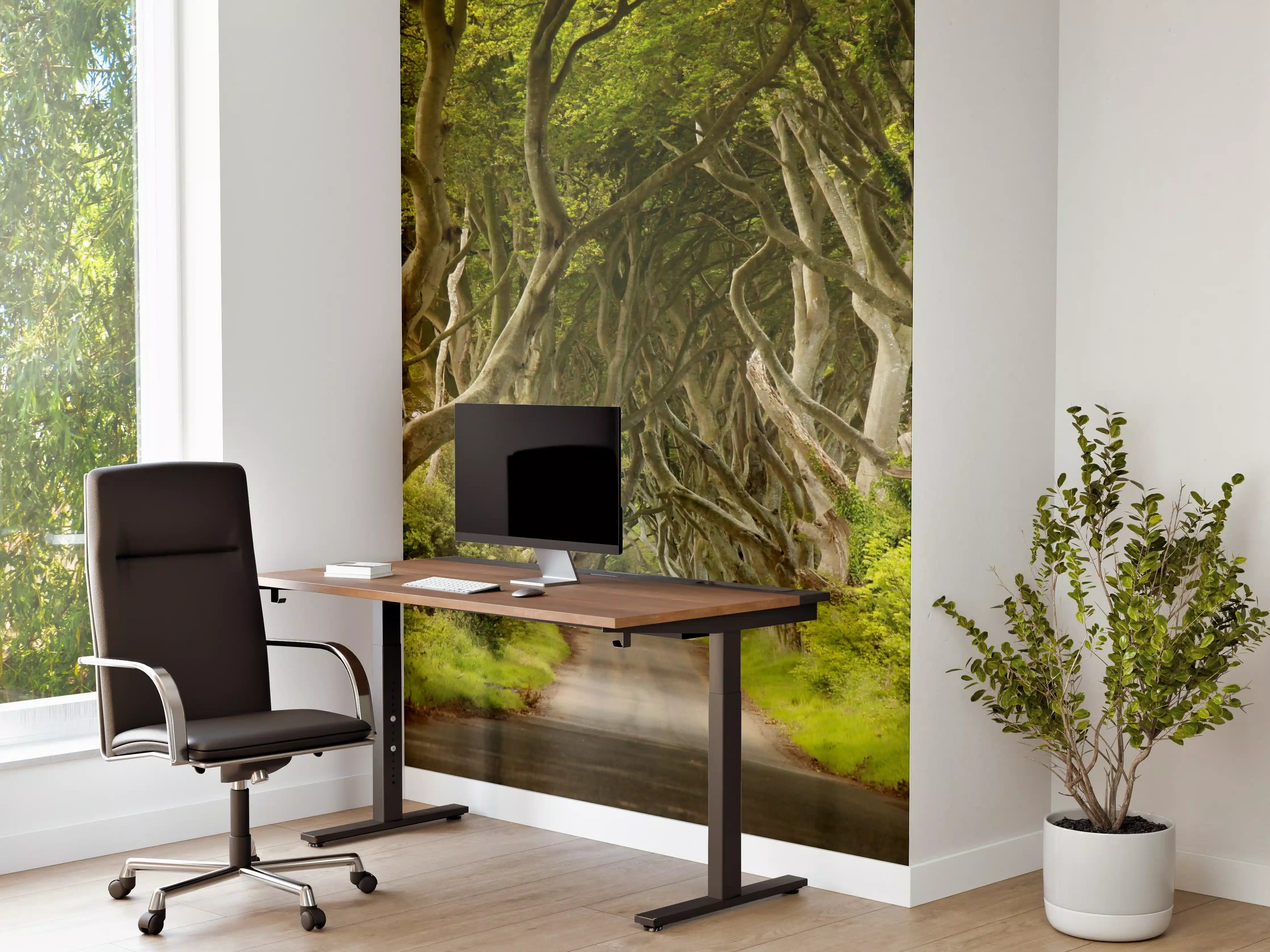 Büro Wandgestaltung - Mystischer Baumkorridor mit grünen Blättern