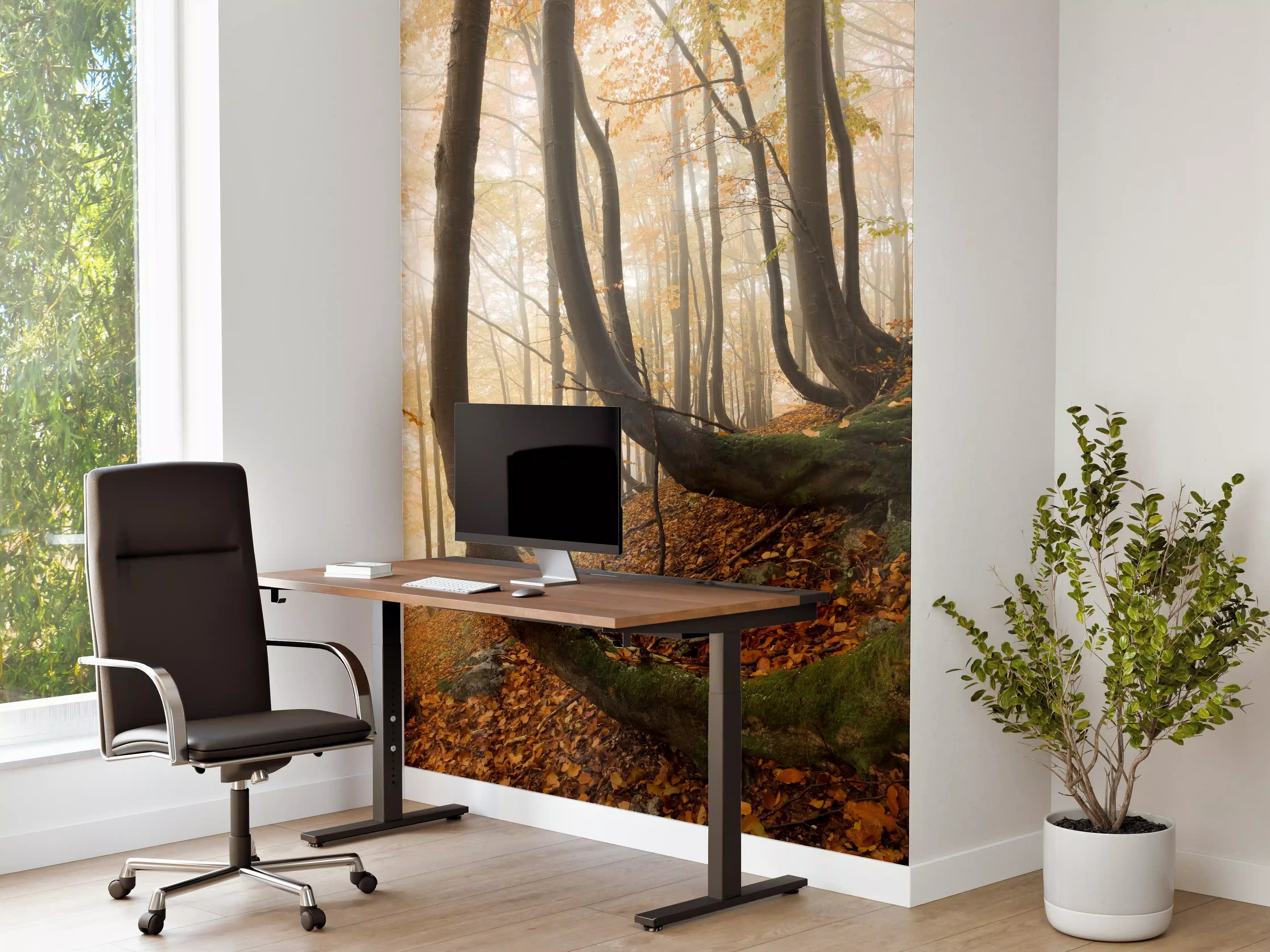 Büro Wandgestaltung - Mystischer Wald im Herbst