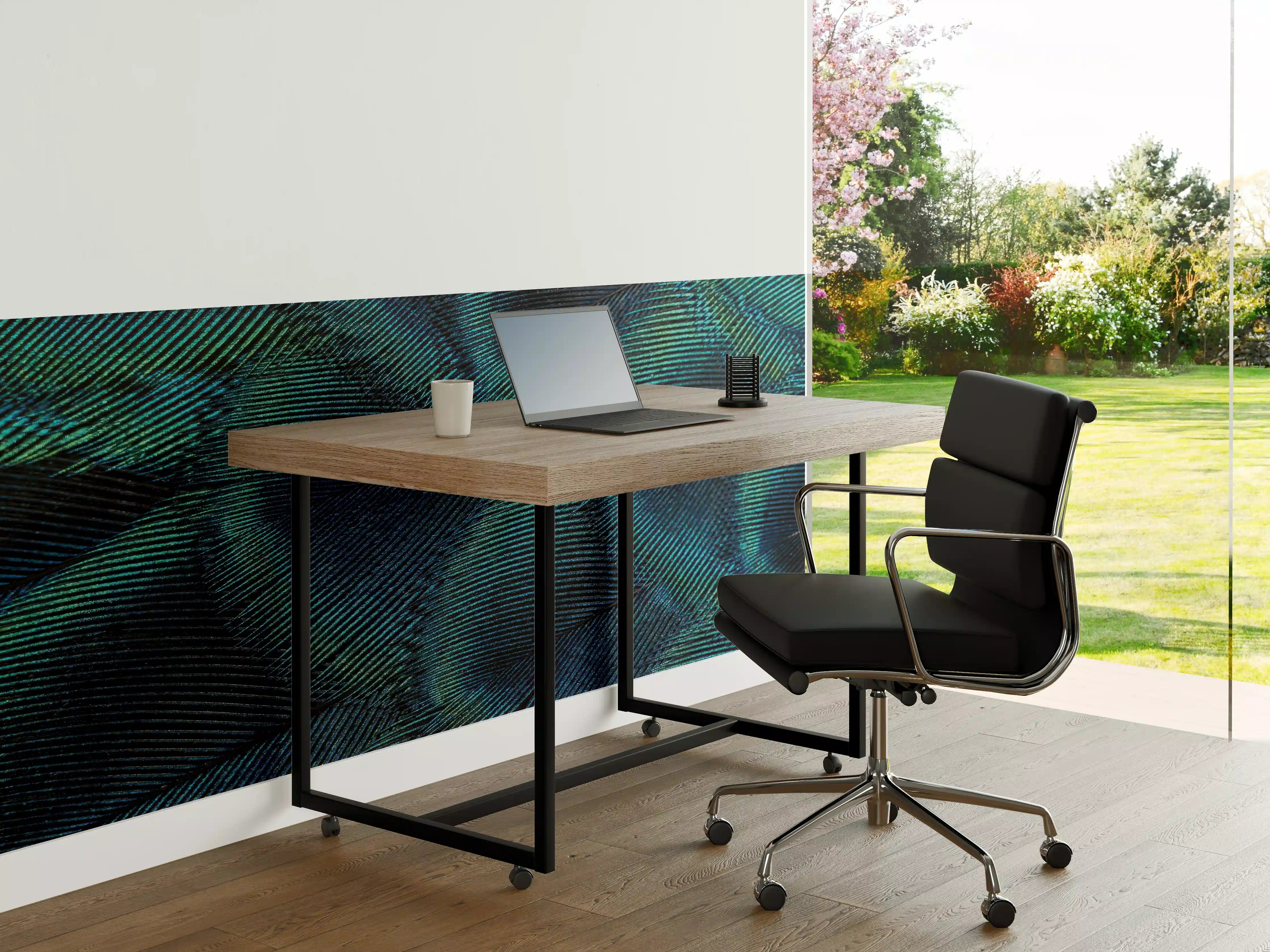 Büro Wandgestaltung - Nahaufnahme von Pfauenfedern
