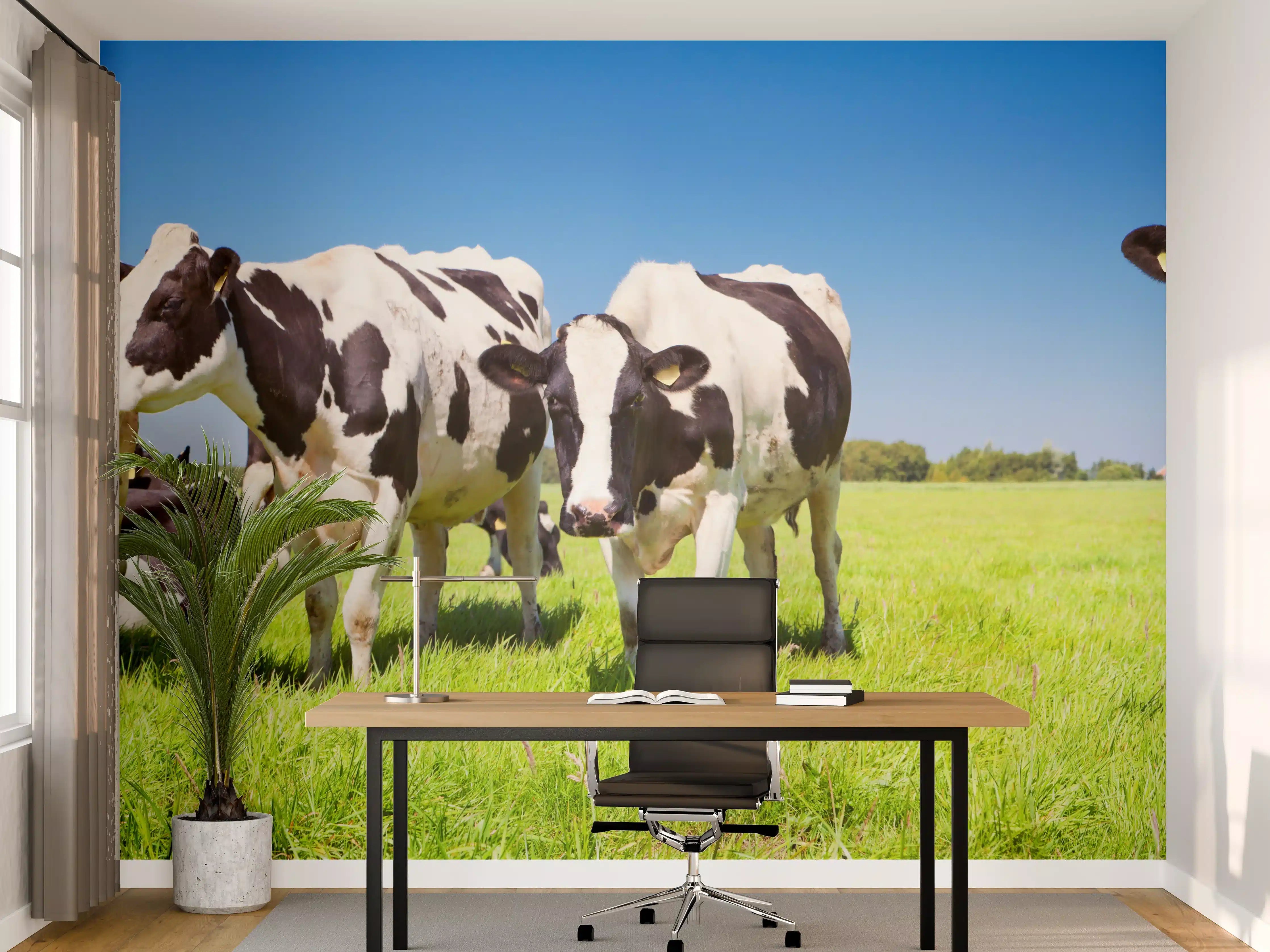 Büro Wandgestaltung - Naive Kühe auf grüner Weide bei Sonnenschein
