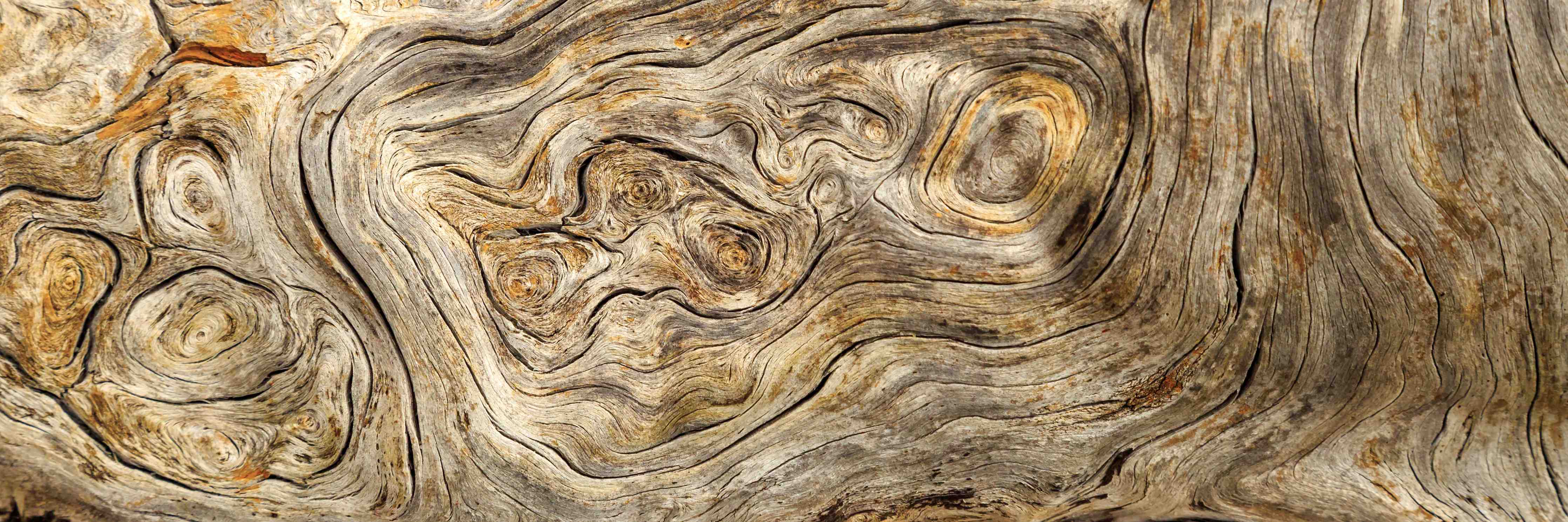Büro Wandgestaltung-Naturholz-Texture in warmen Braun- und Grautönen