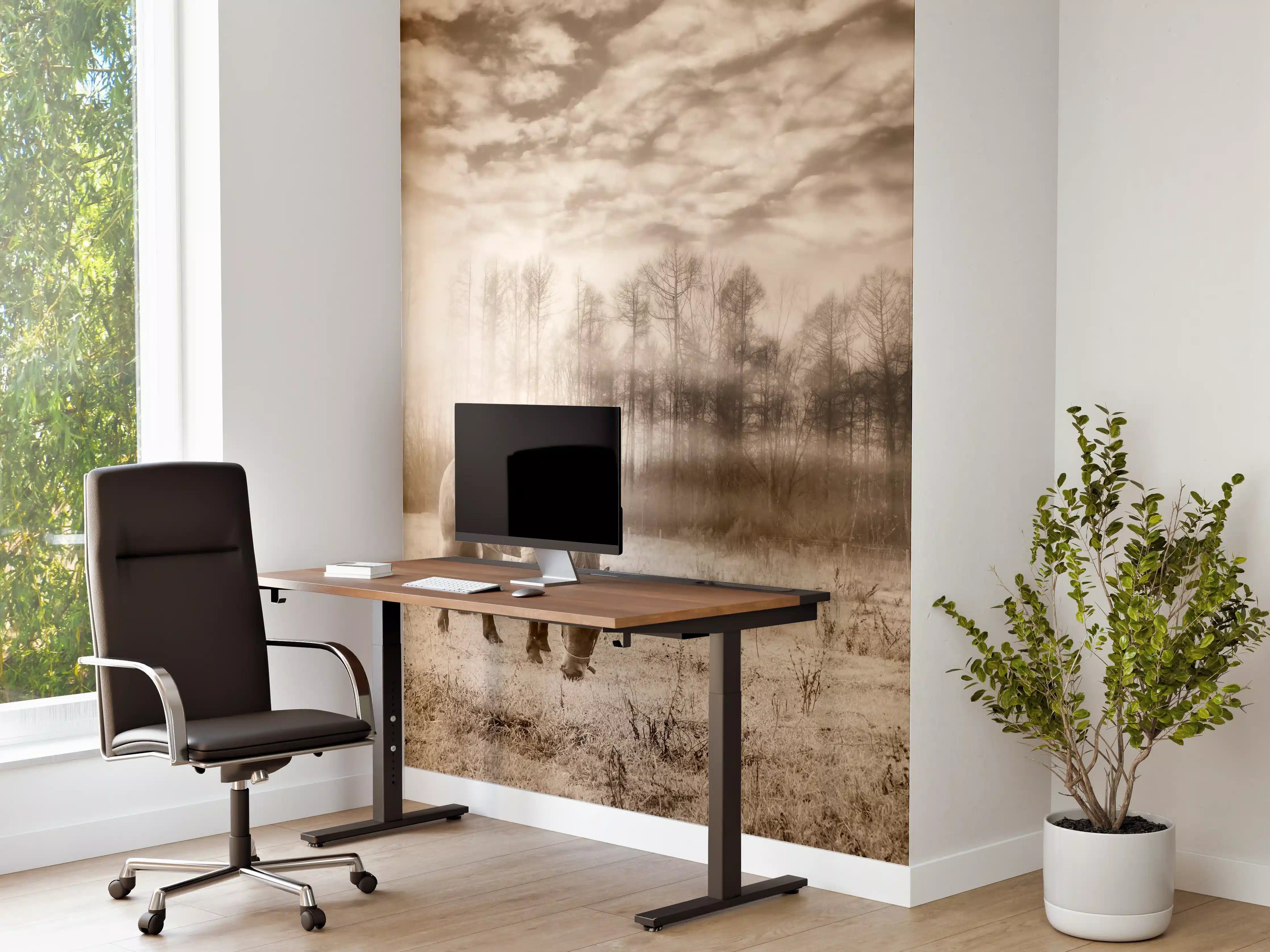 Büro Wandgestaltung - Nebelige Weide mit Pferd im Herbst