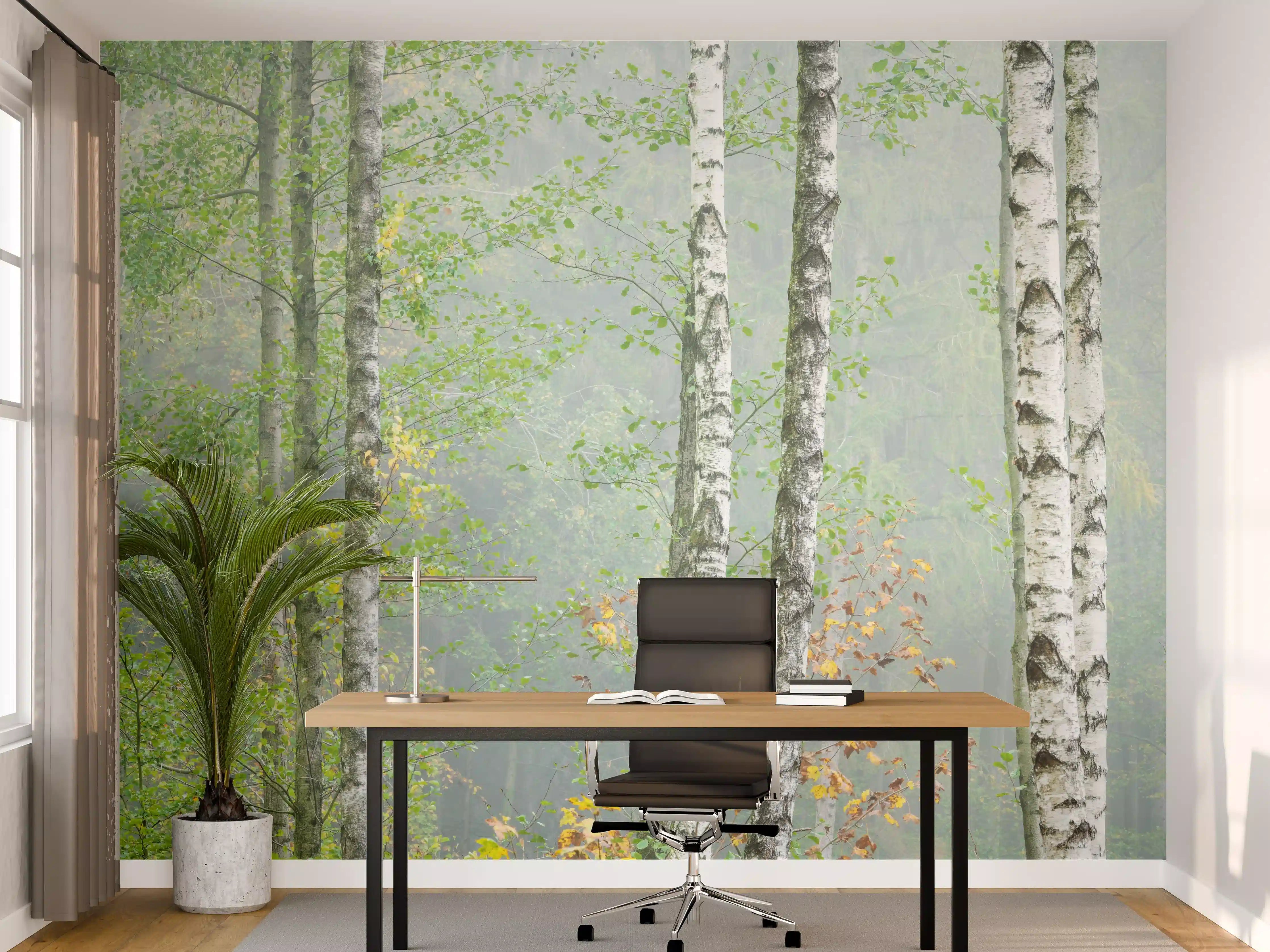 Büro Wandgestaltung - Nebeliger Birkenwald