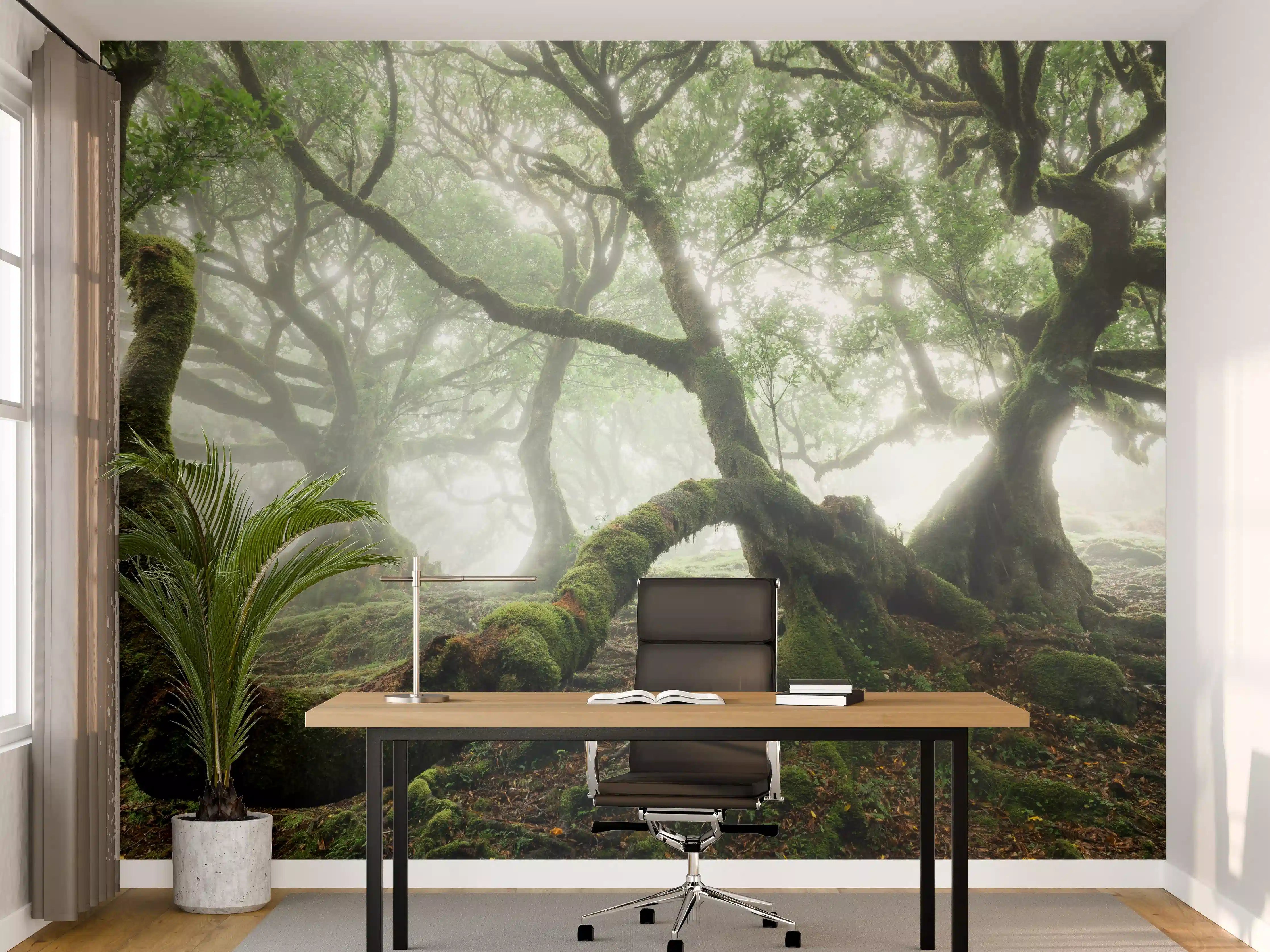 Büro Wandgestaltung - Nebeliger, mystischer Wald