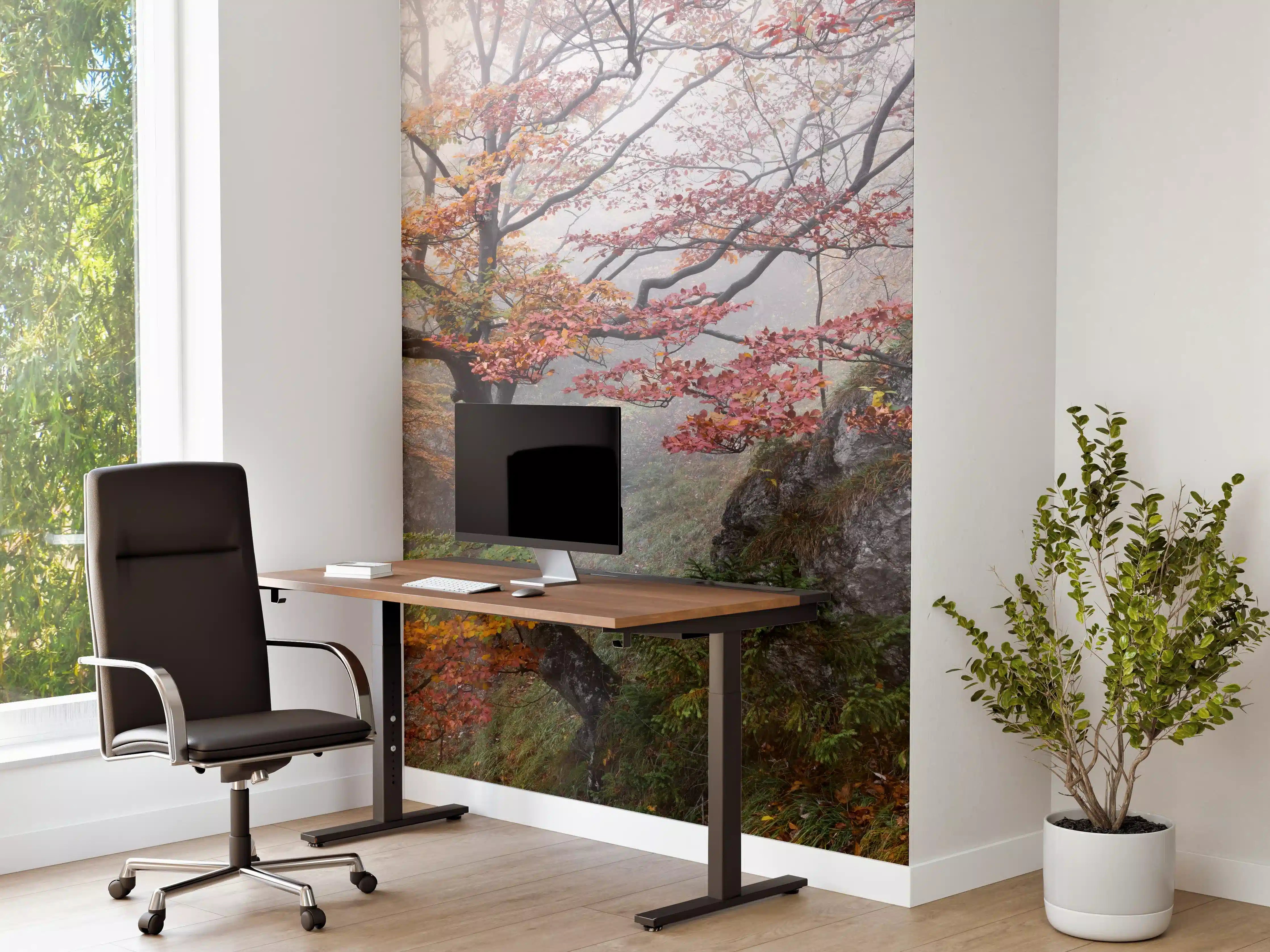 Büro Wandgestaltung - Nebliger Wald - Slowakei