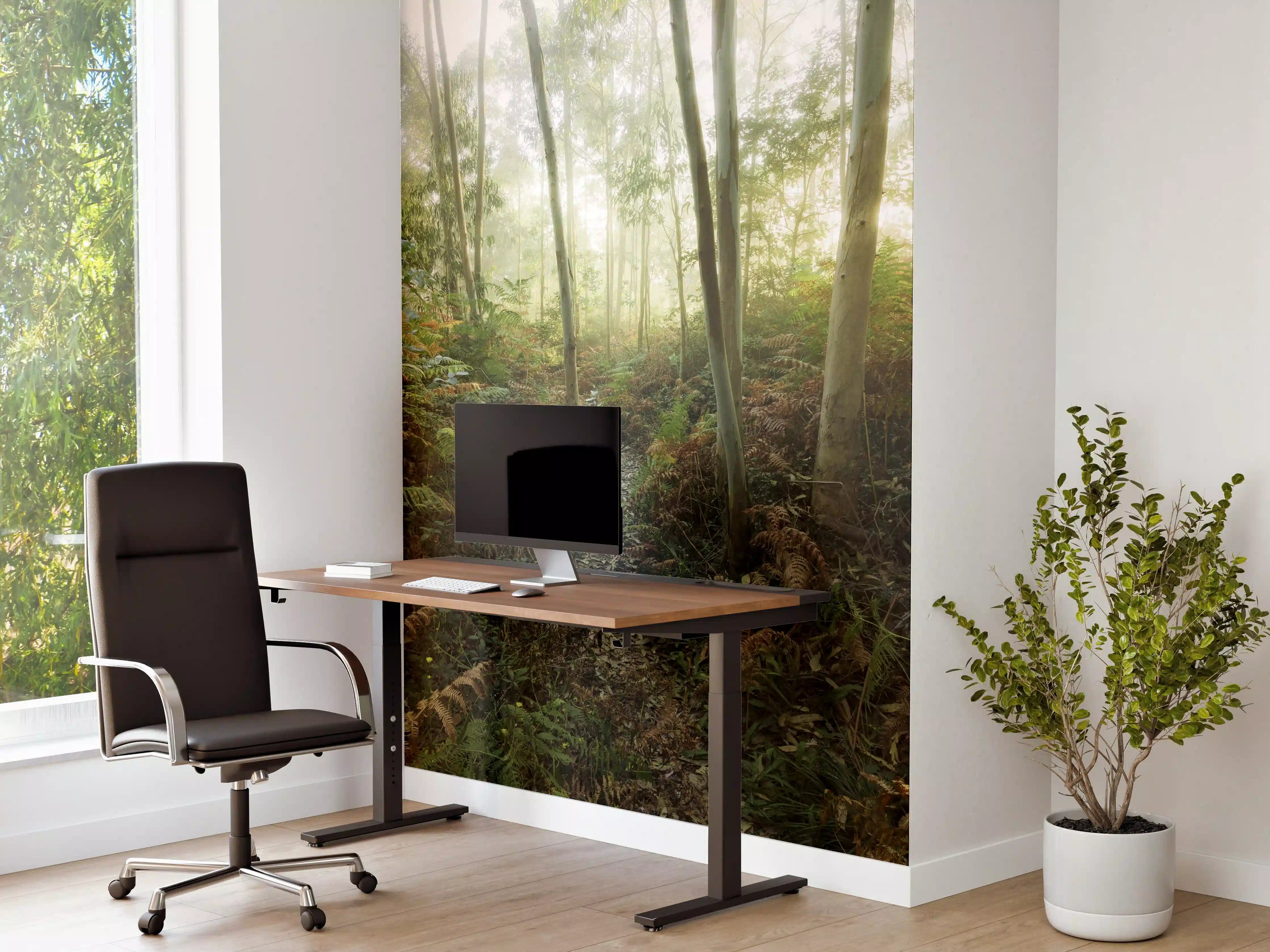Büro Wandgestaltung - Nebliger Wald - Spanien