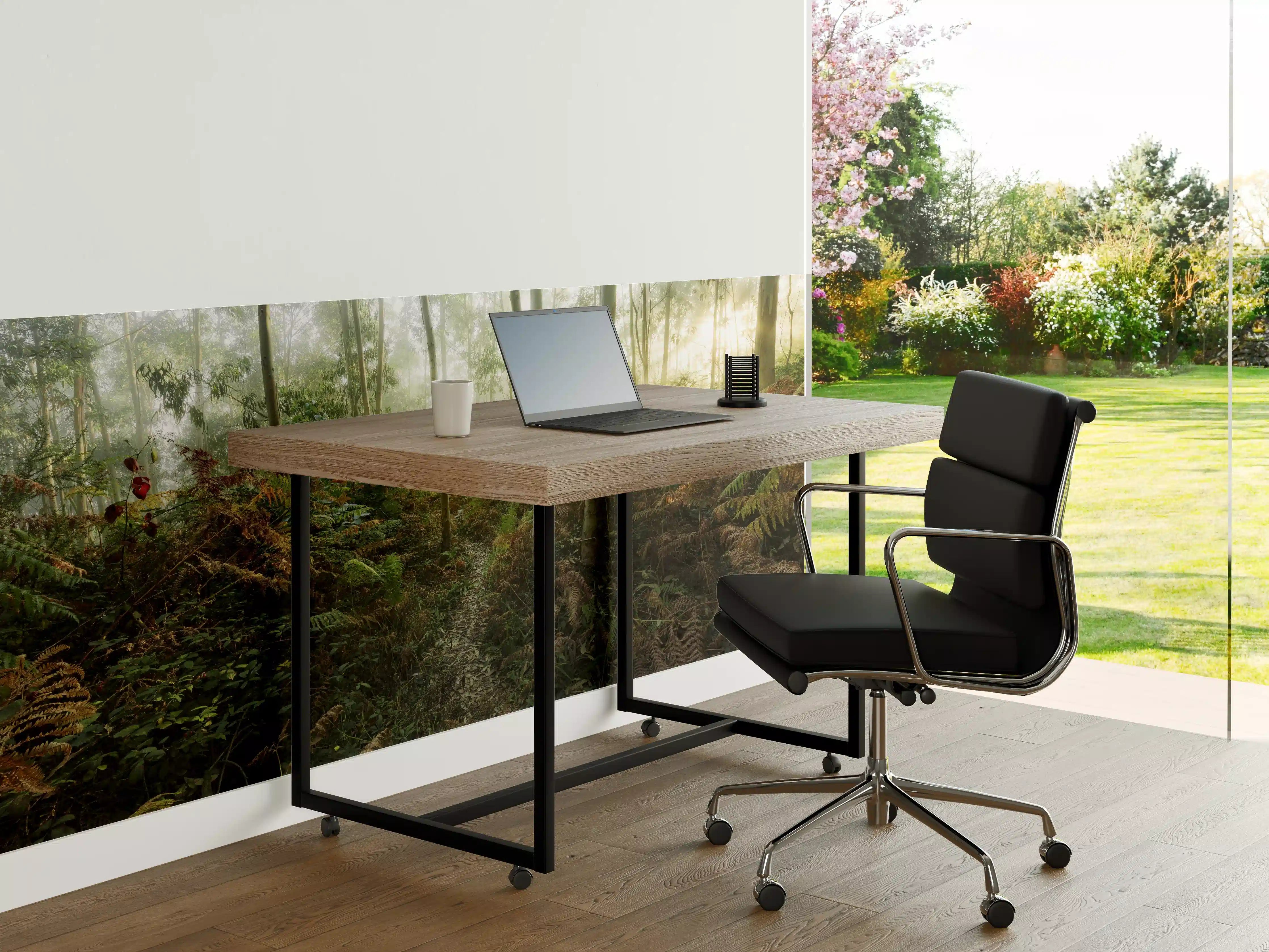 Büro Wandgestaltung - Nebliger Wald - Spanien