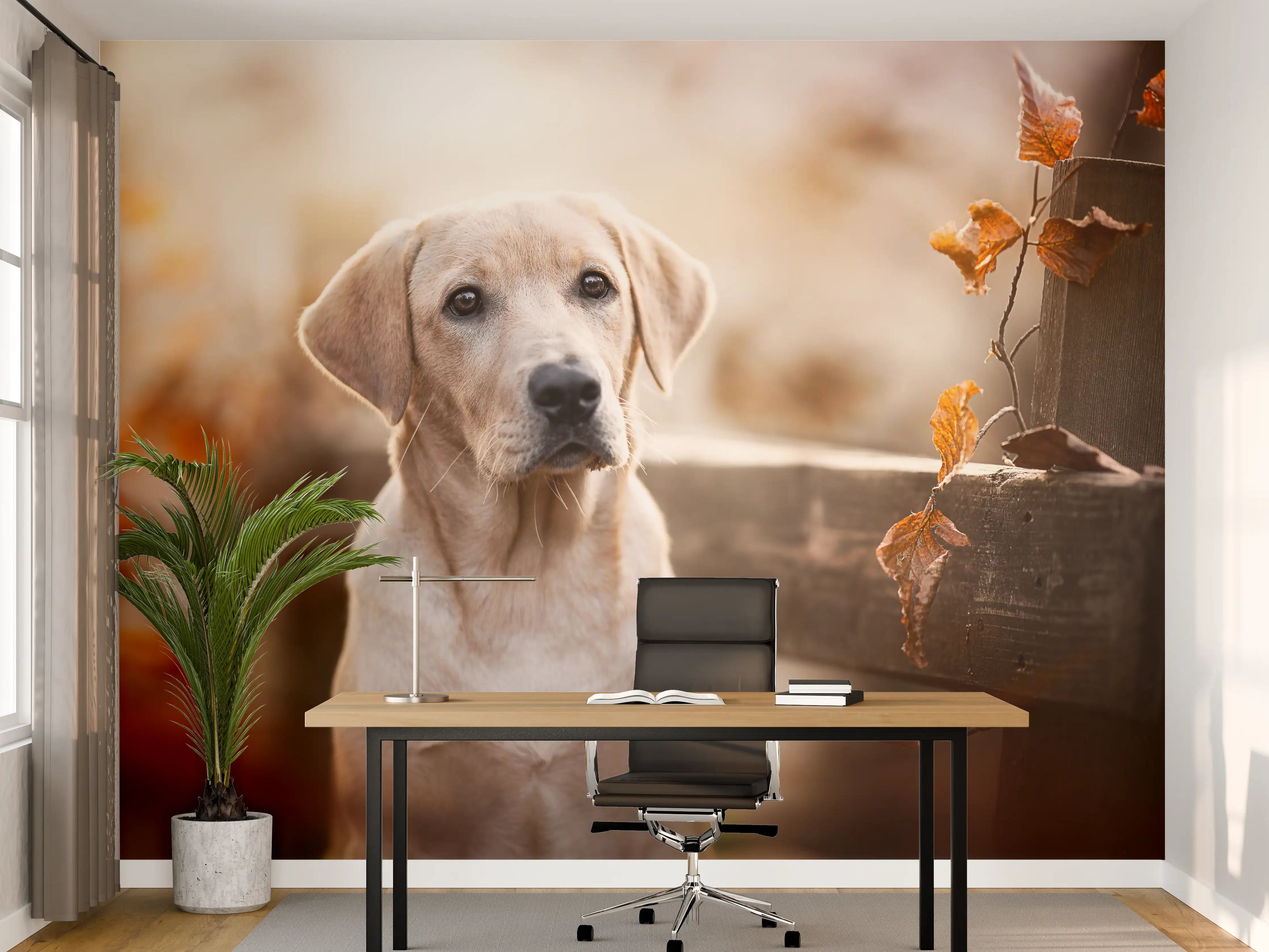 Büro Wandgestaltung - Niedlicher Labrador Welpe