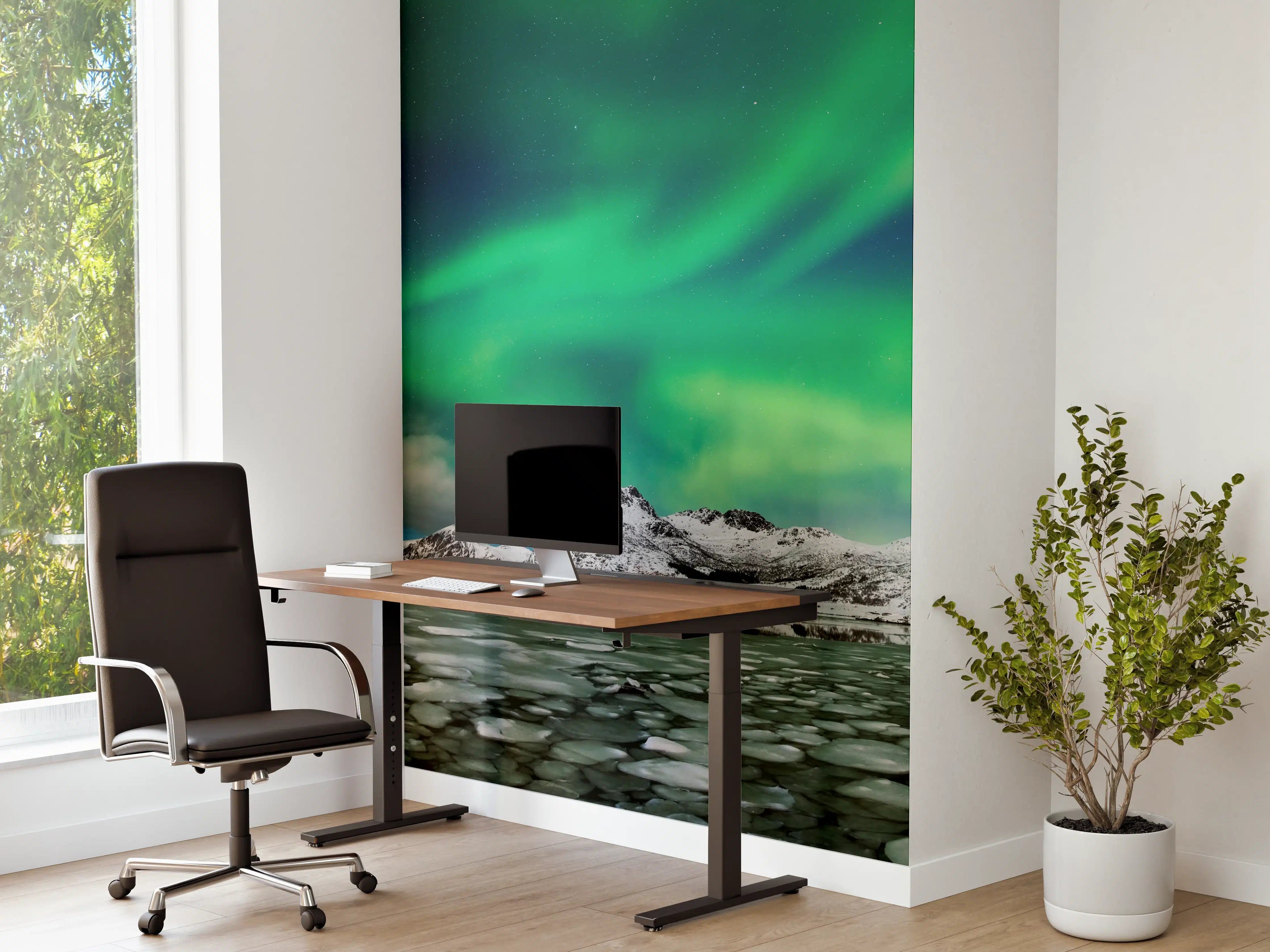 Büro Wandgestaltung - Nordlichter über arktischer Küste