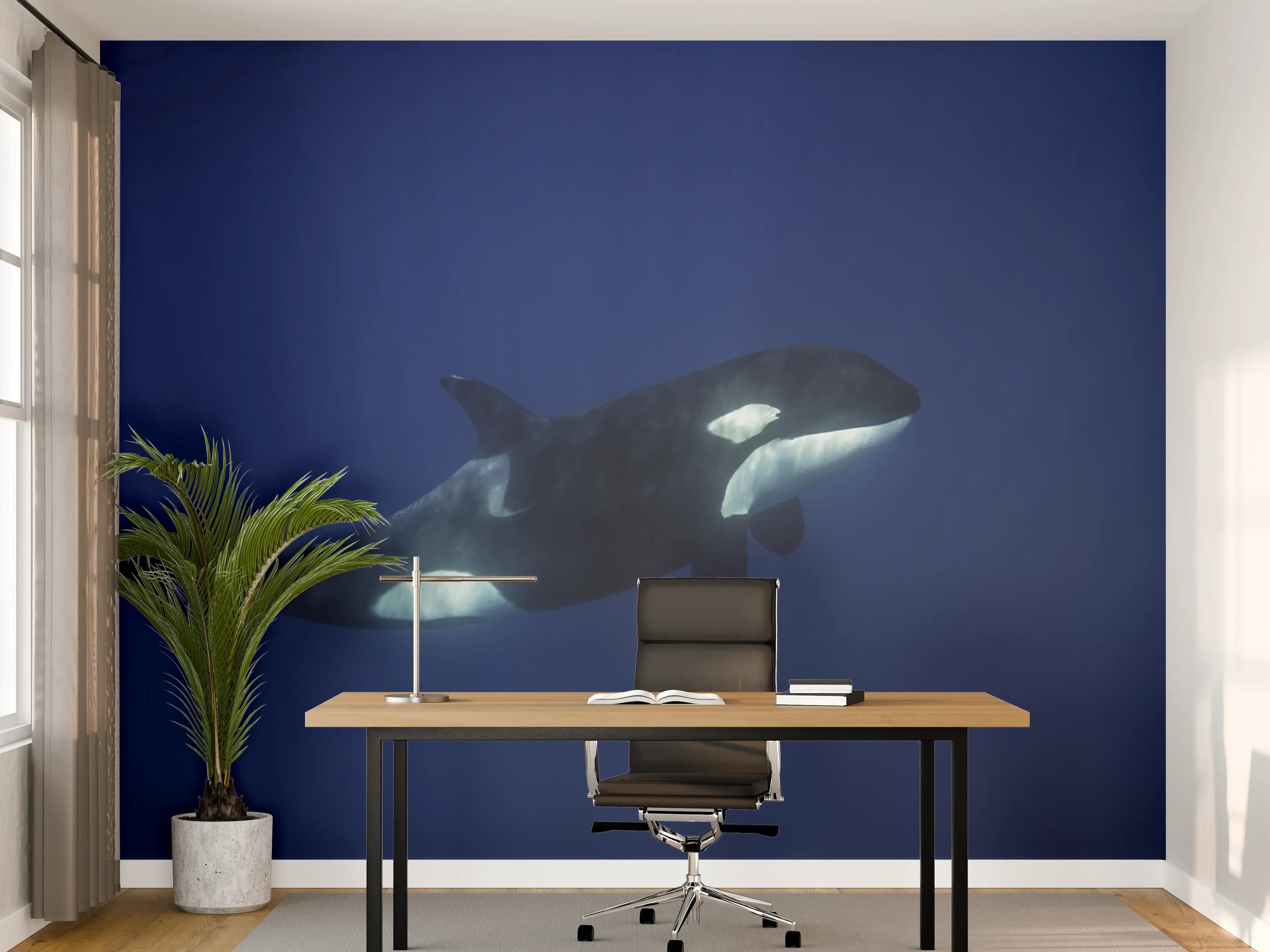Büro Wandgestaltung - Orca im blauen Pazifik