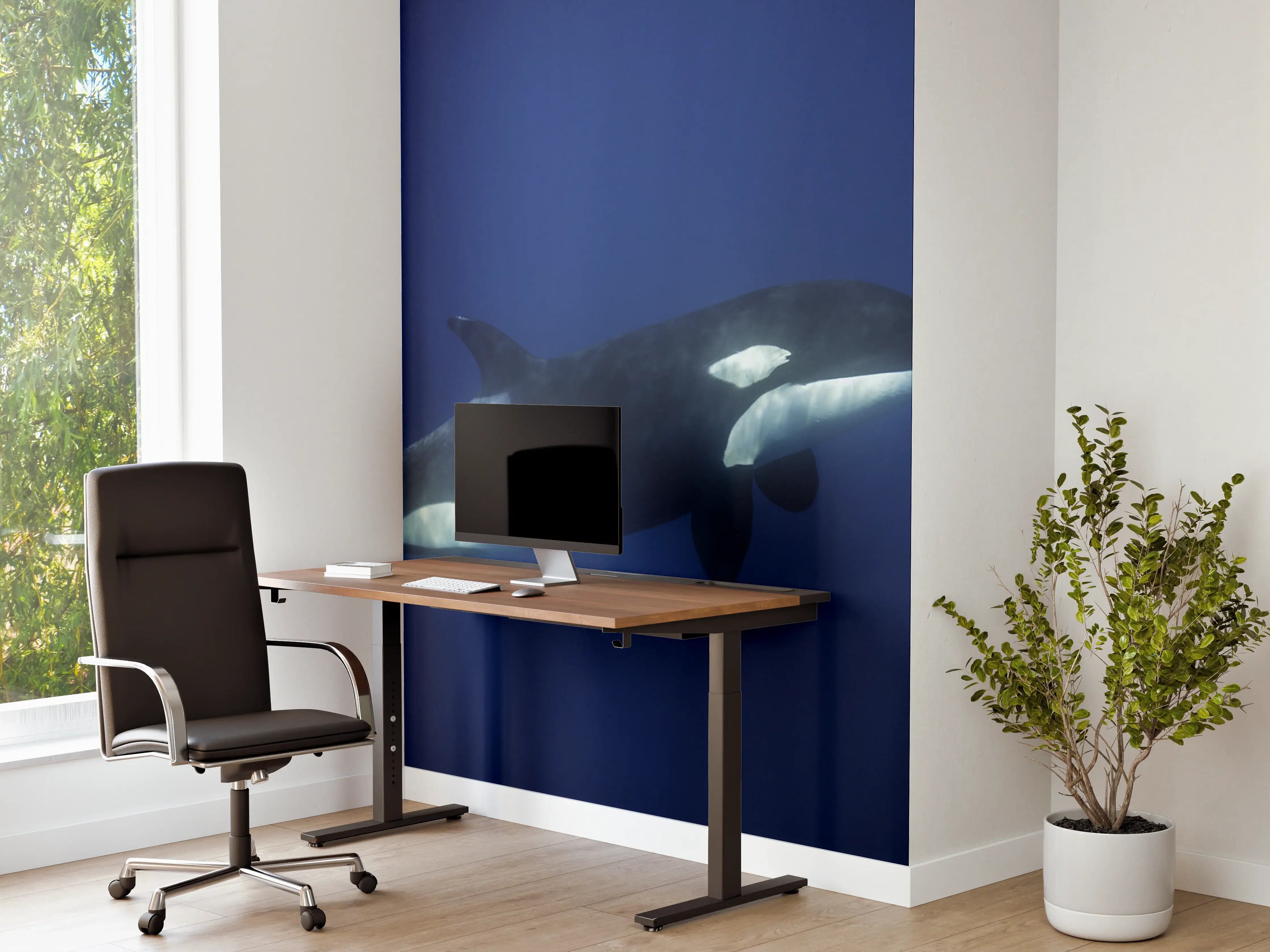 Büro Wandgestaltung - Orca im blauen Pazifik