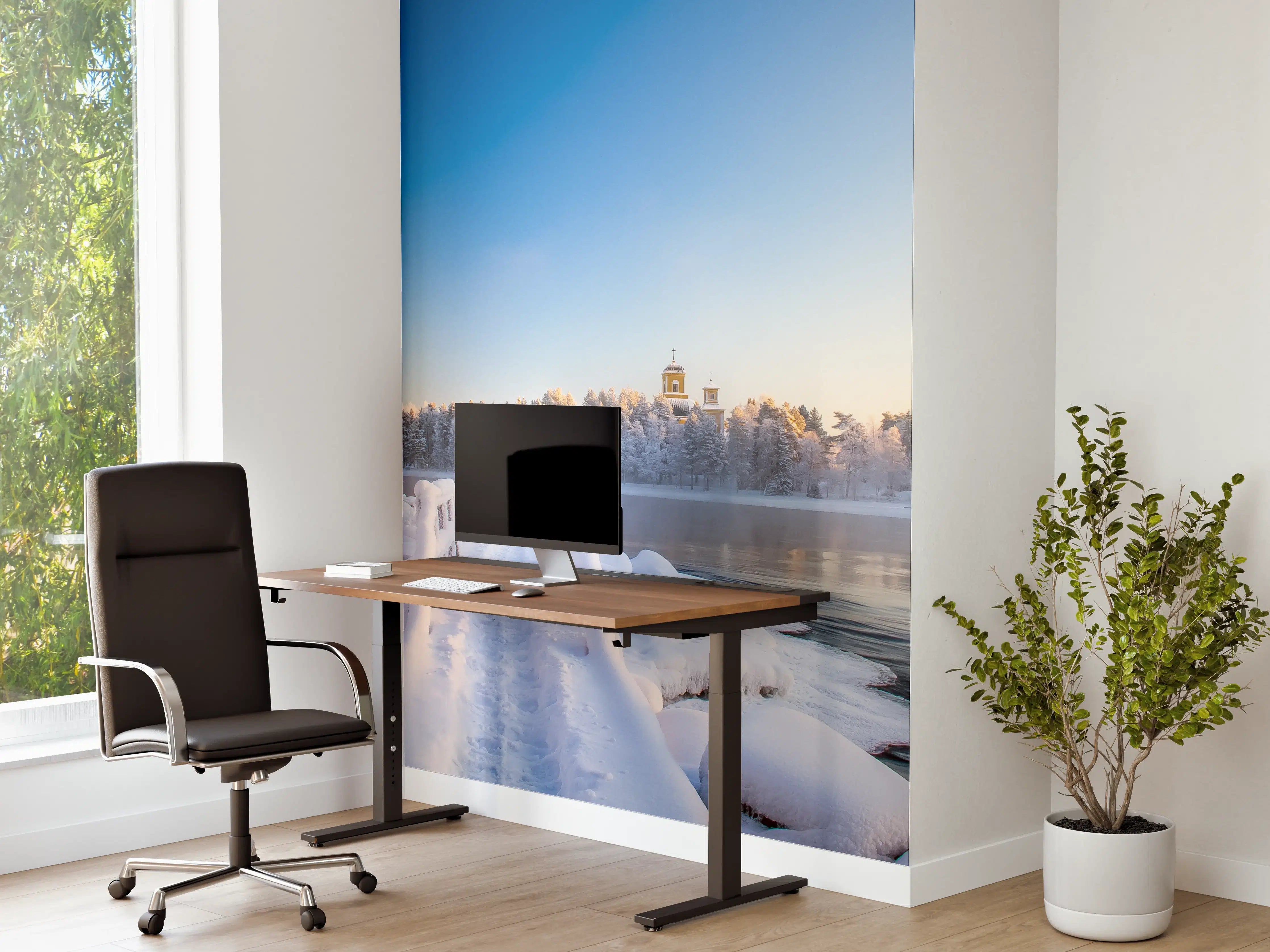 Büro Wandgestaltung - Pajakka Winter