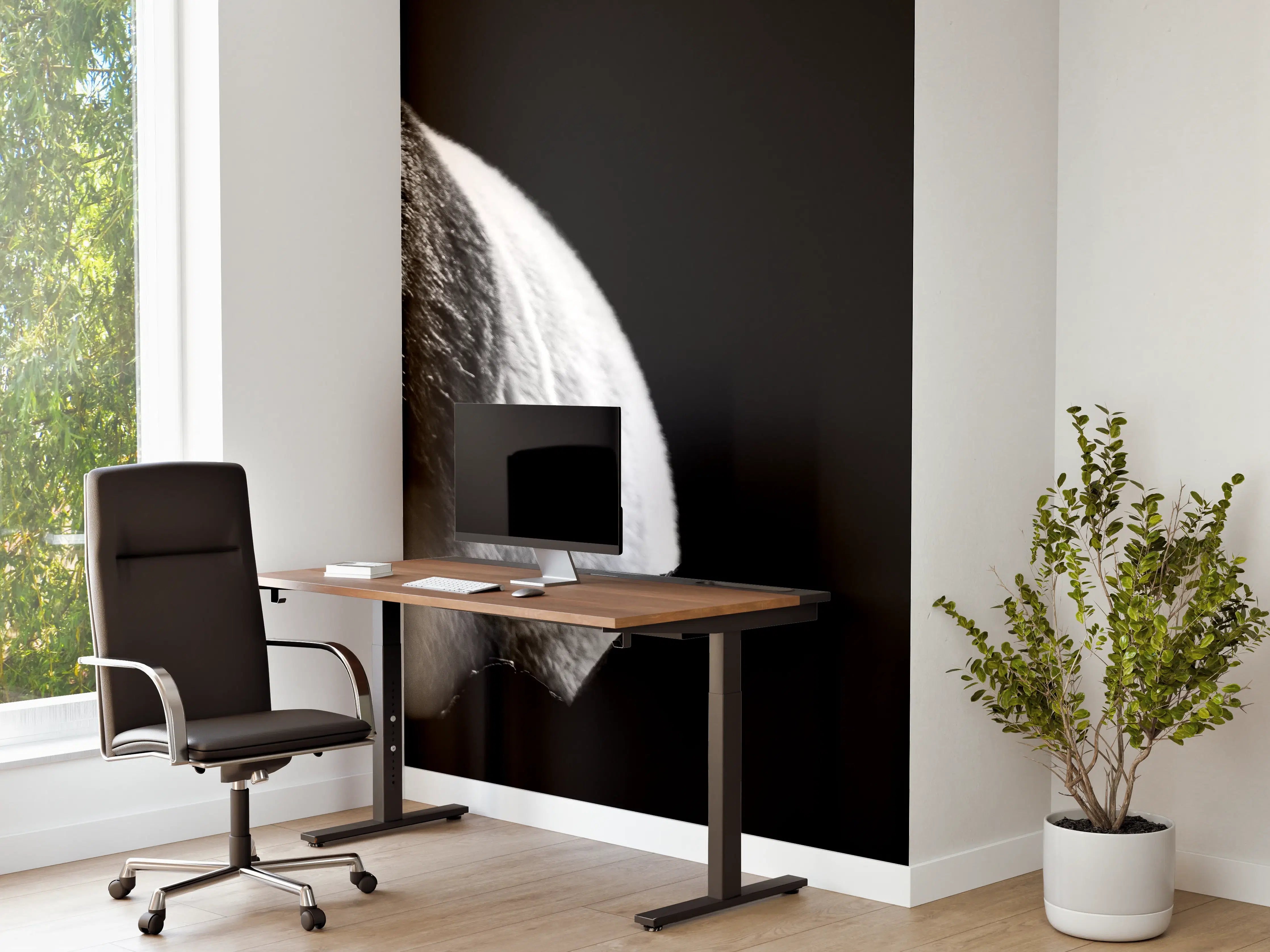 Büro Wandgestaltung - Panda mit schwarzem Hintergrund