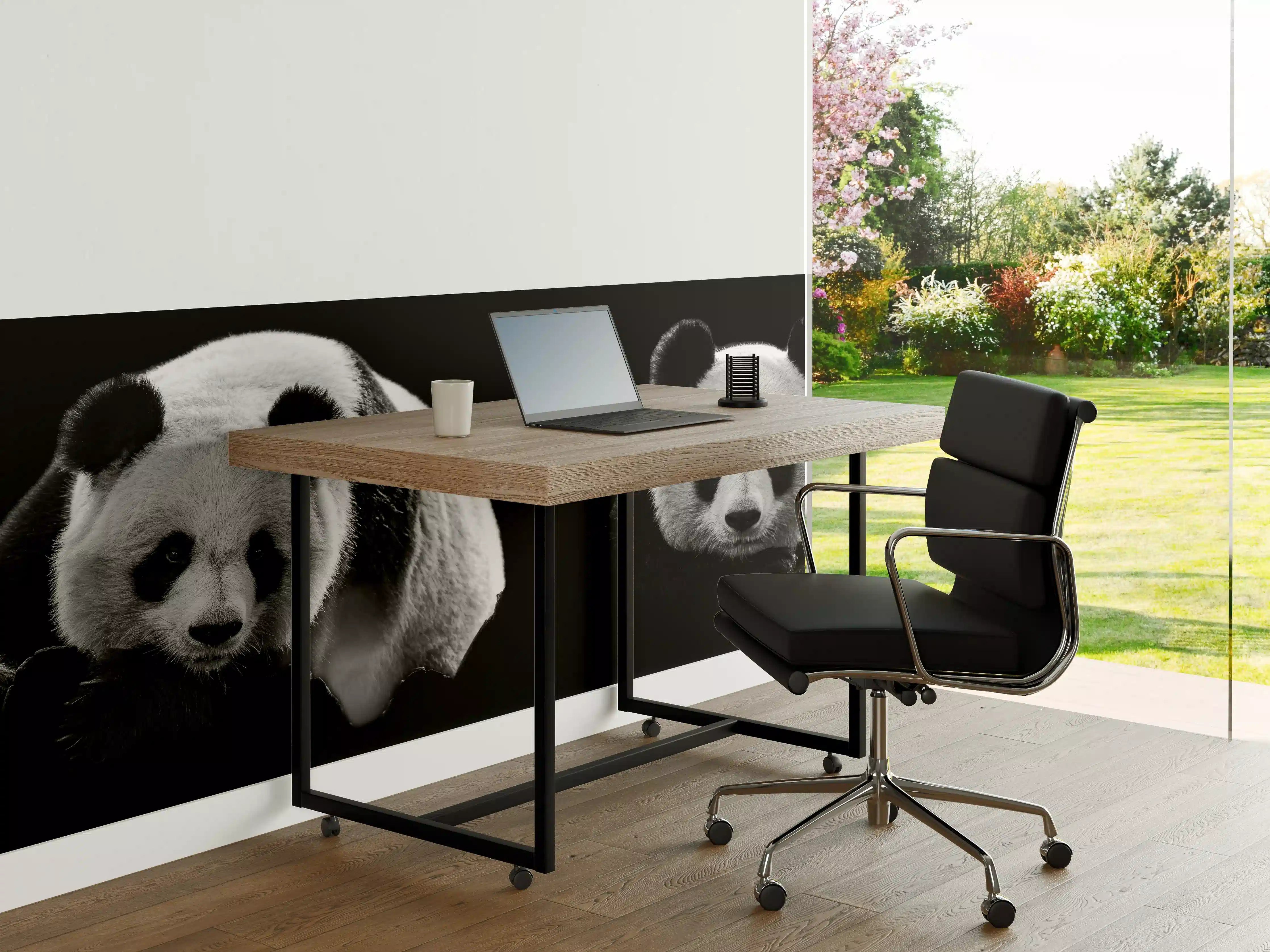 Büro Wandgestaltung - Panda mit schwarzem Hintergrund