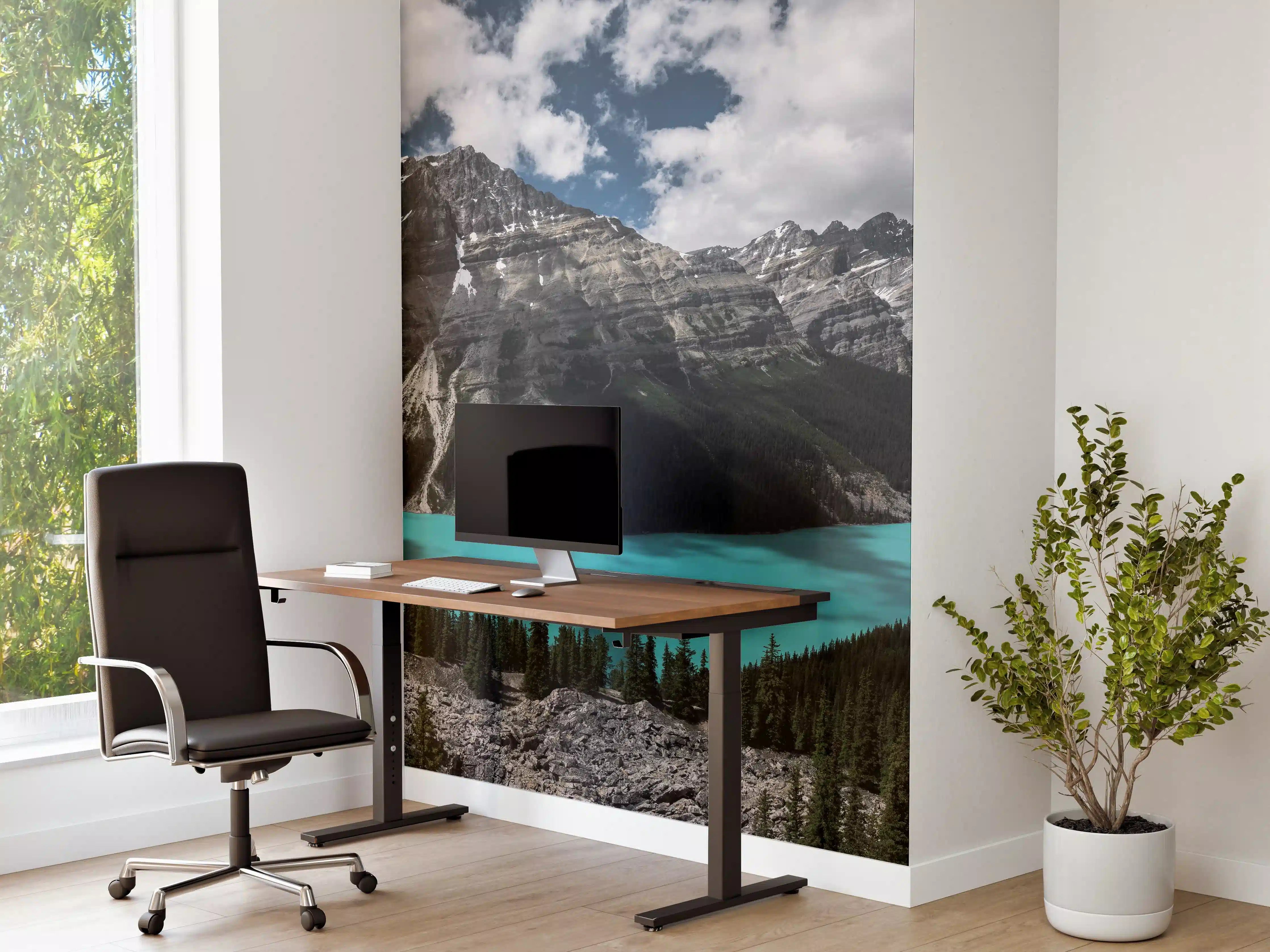 Büro Wandgestaltung - Panorama von Banff National Park (Kanada)