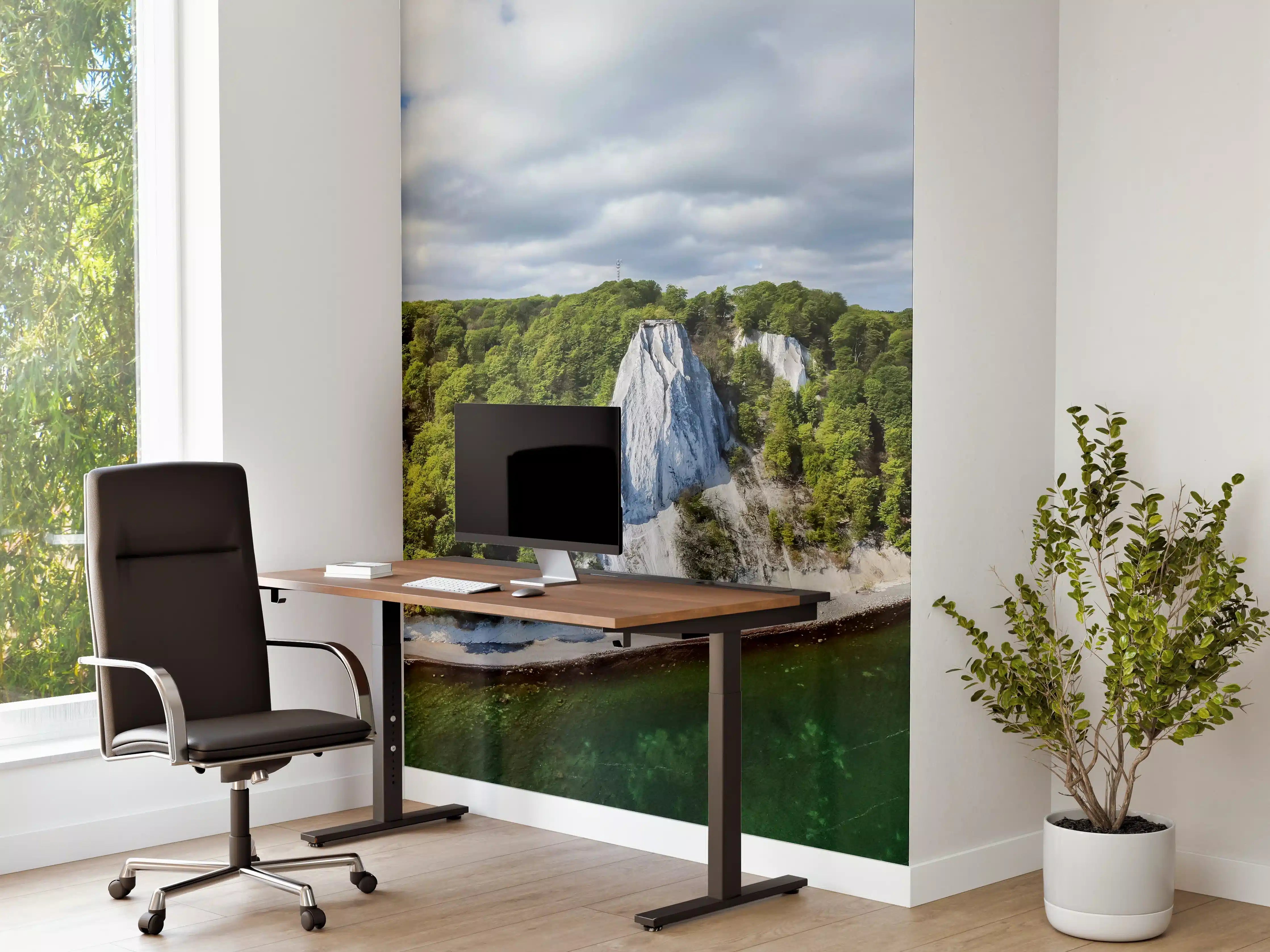 Büro Wandgestaltung - Panoramablick auf den Königsstuhl - Rügen