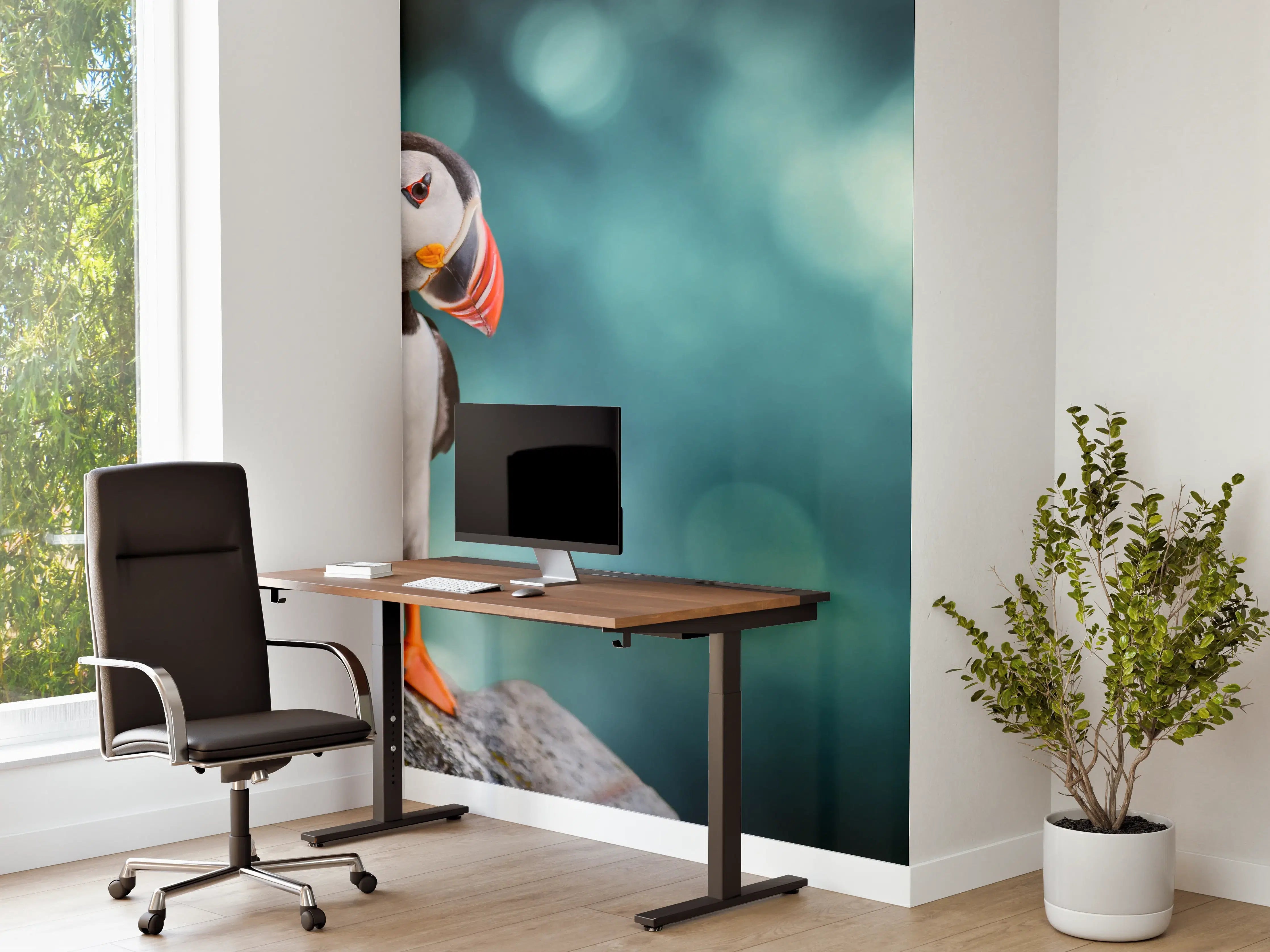 Büro Wandgestaltung - Papageientaucher auf Fels