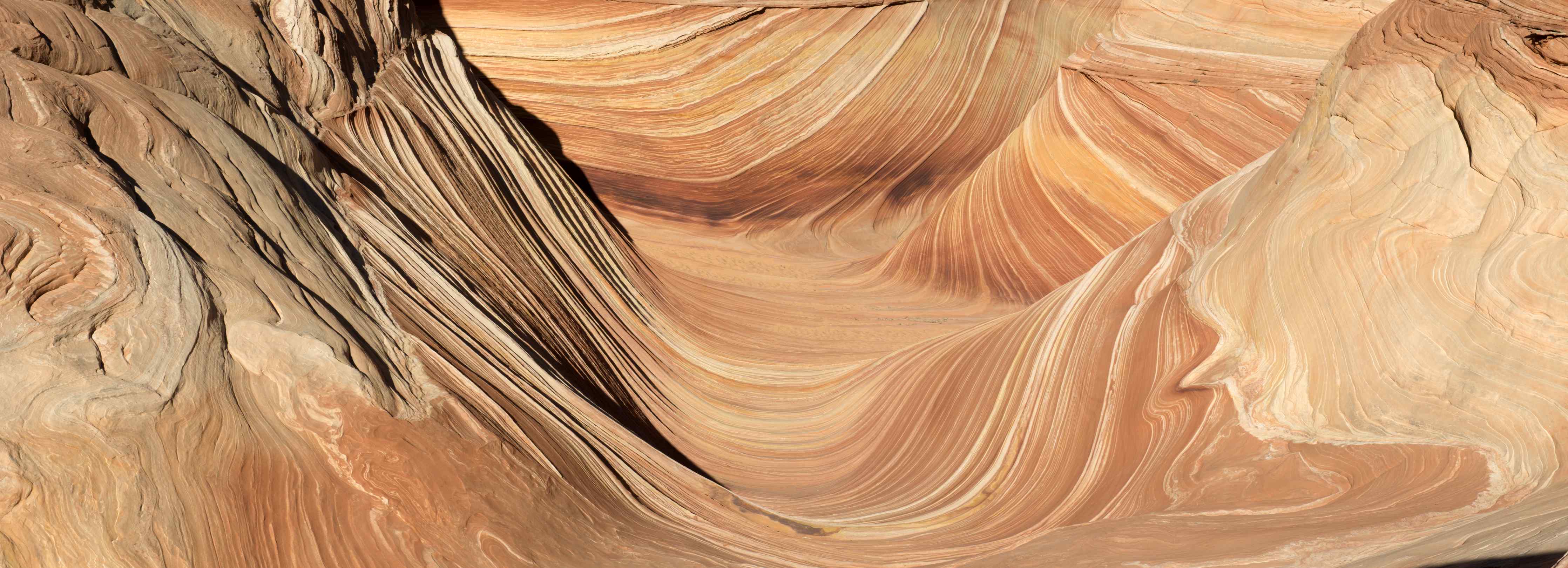 Büro Wandgestaltung-Paria-Schlucht