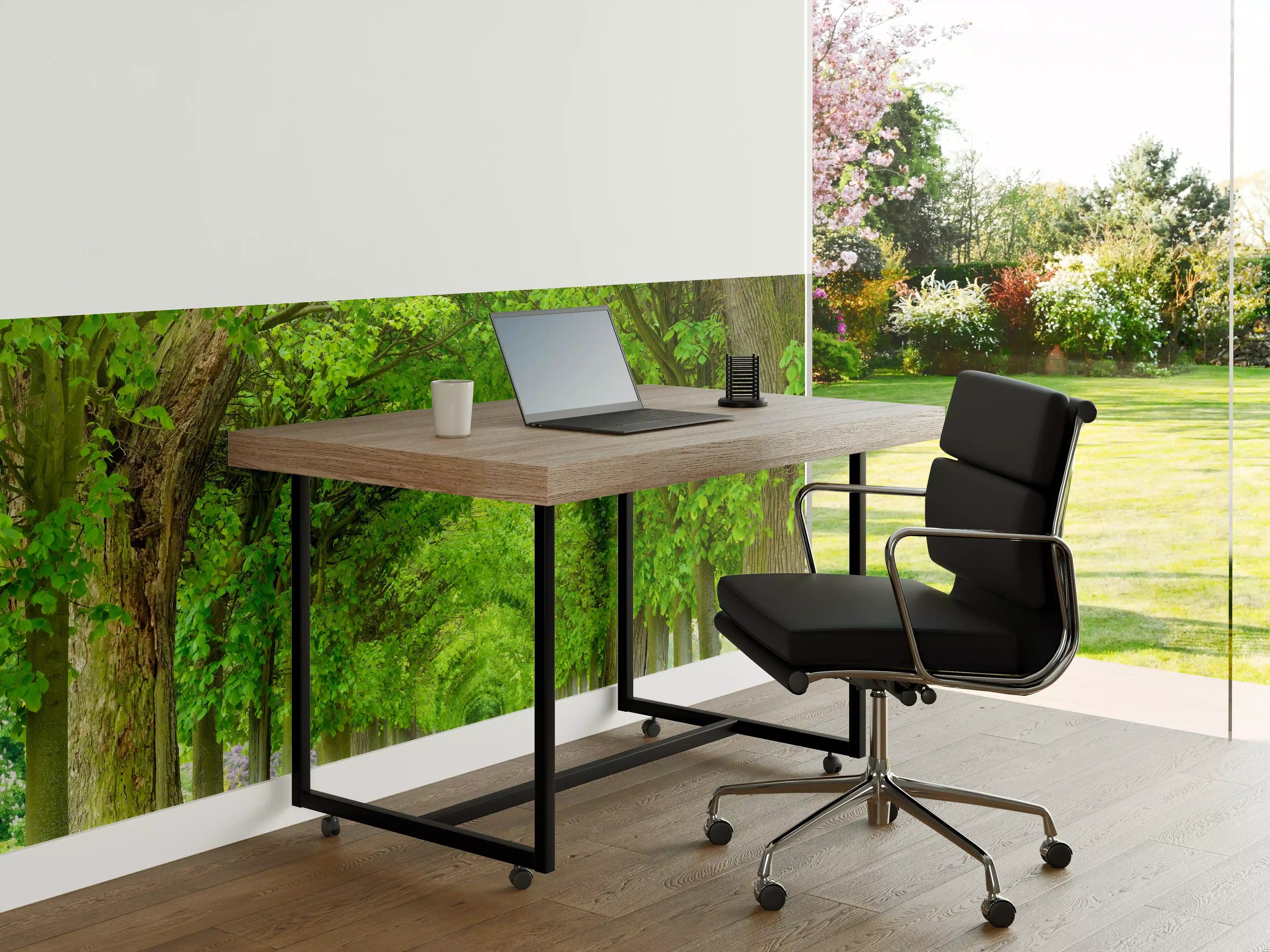 Büro Wandgestaltung - Park mit tunnelartiger Lindenallee im Frühling