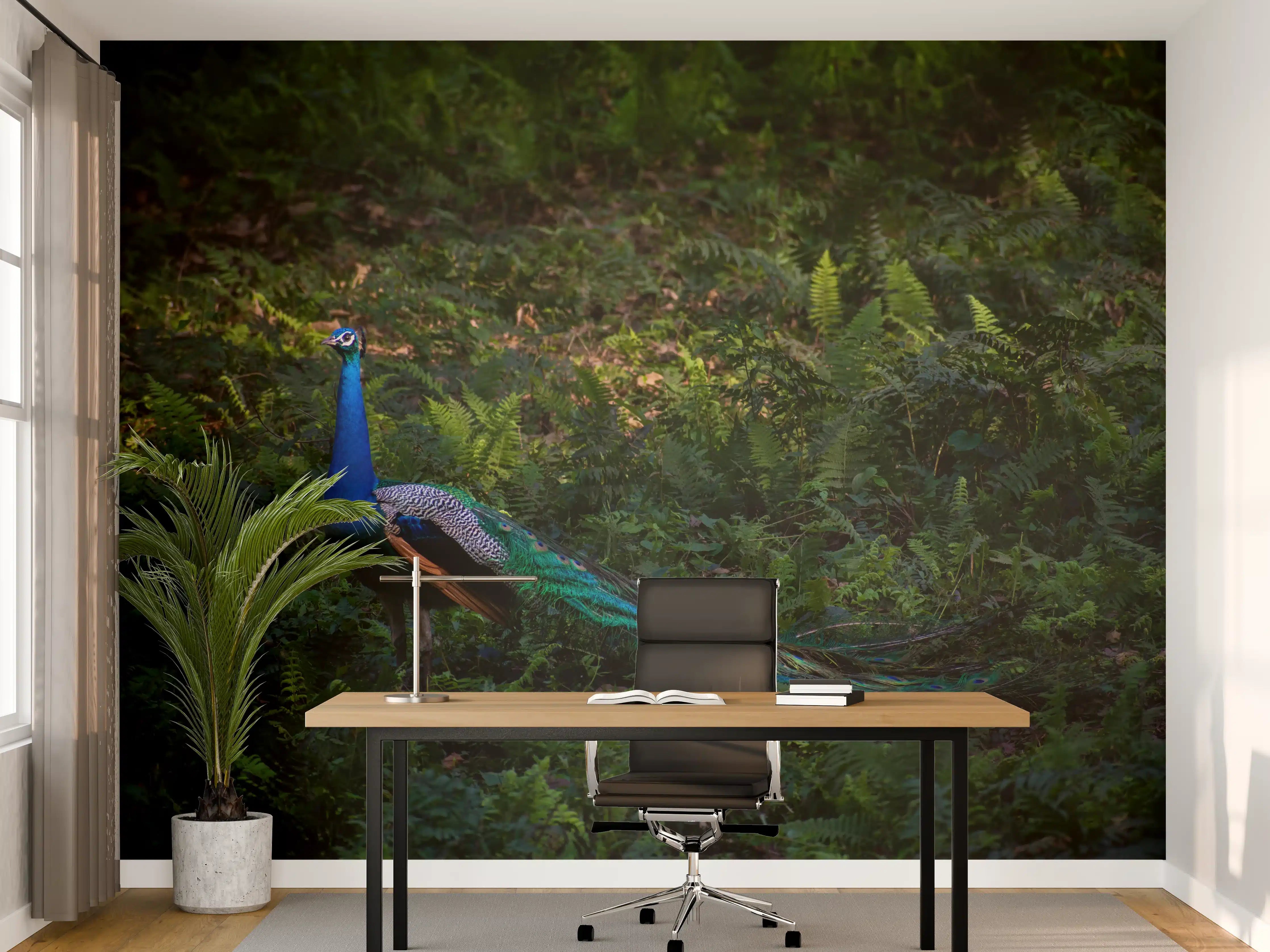 Büro Wandgestaltung - Pfau in freier Natur