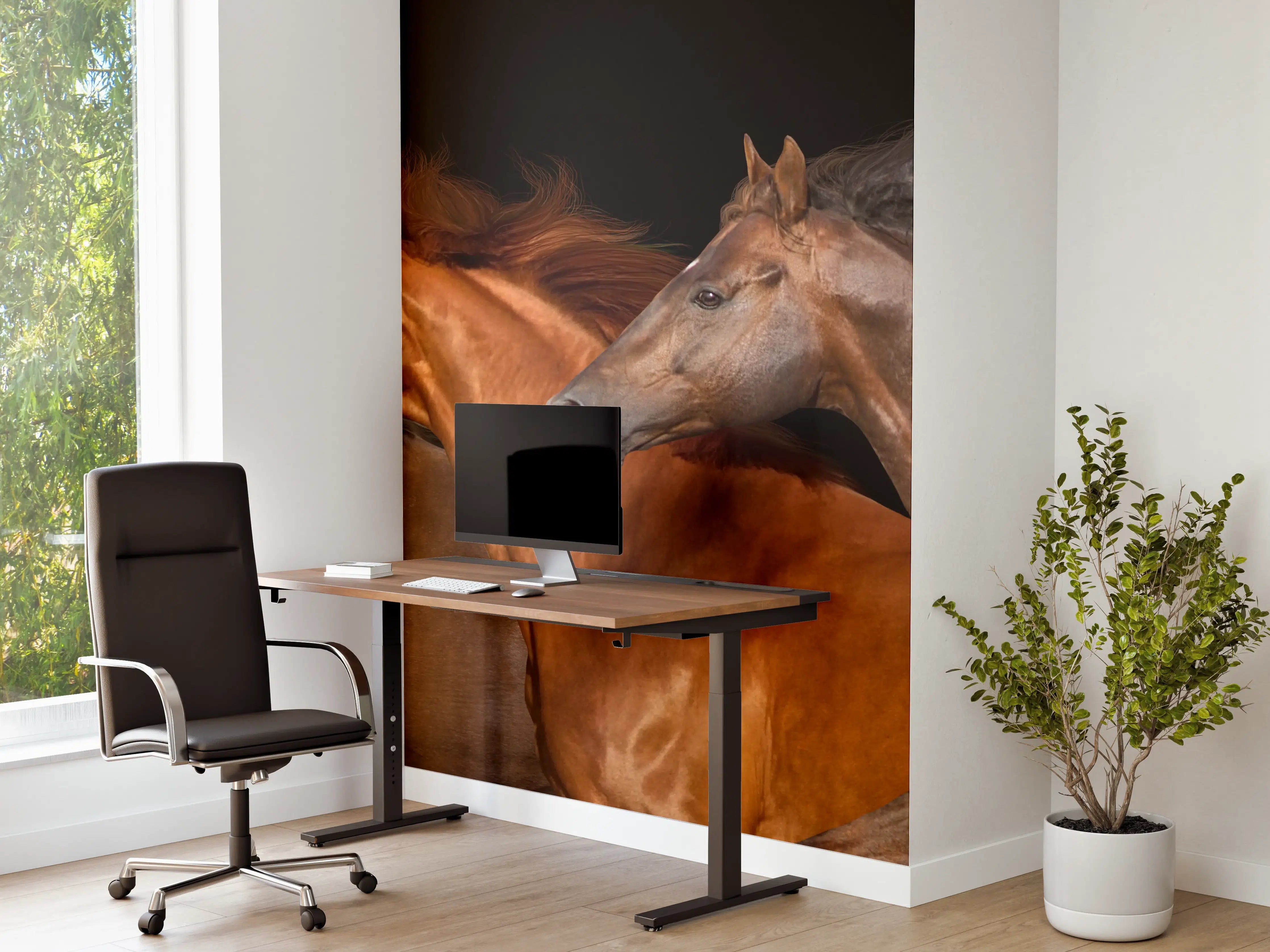 Büro Wandgestaltung - Pferdeherde Schwarz Hintergrund