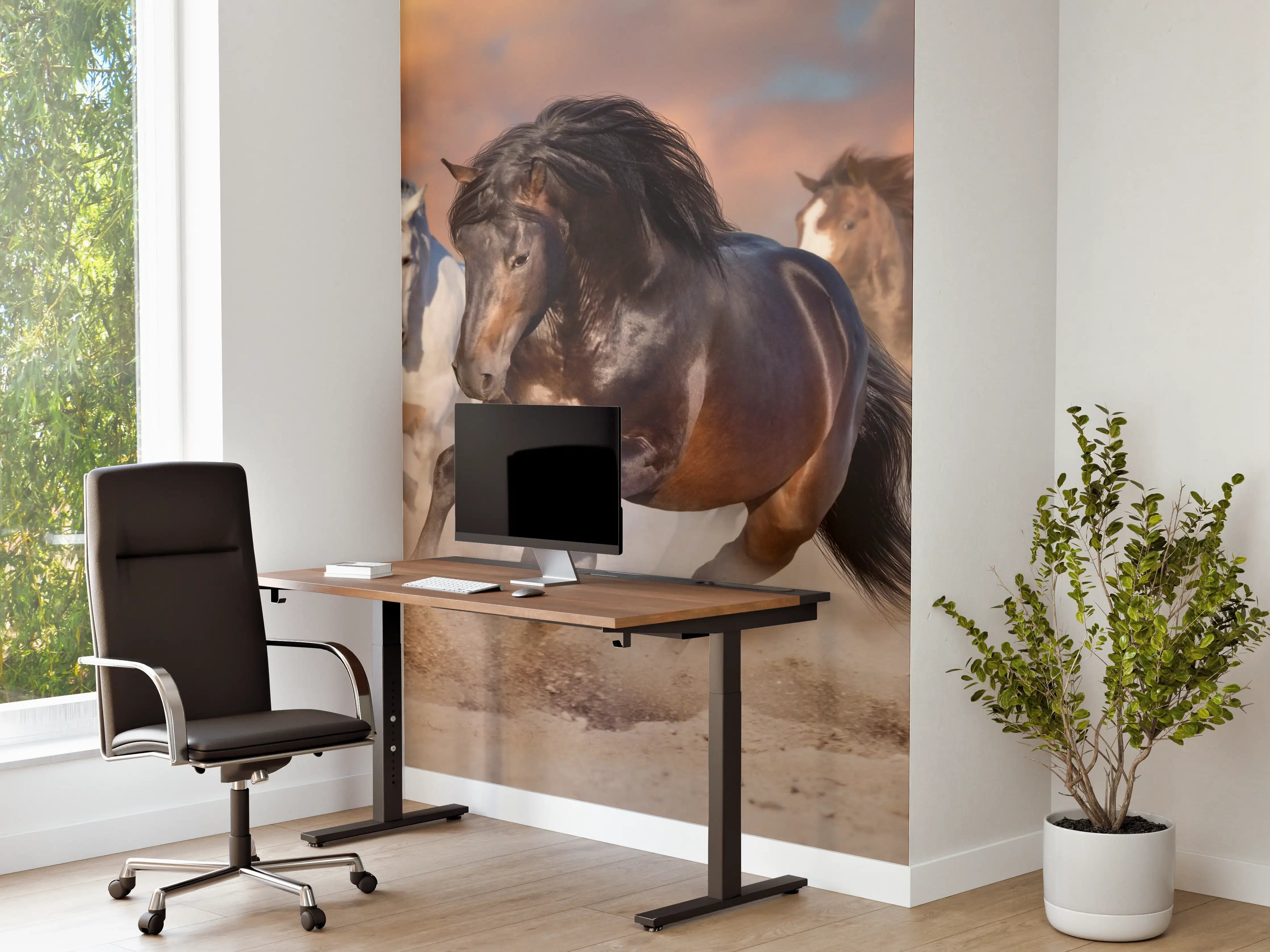 Büro Wandgestaltung - Pferdeherde galoppierend im Wüstenstaub