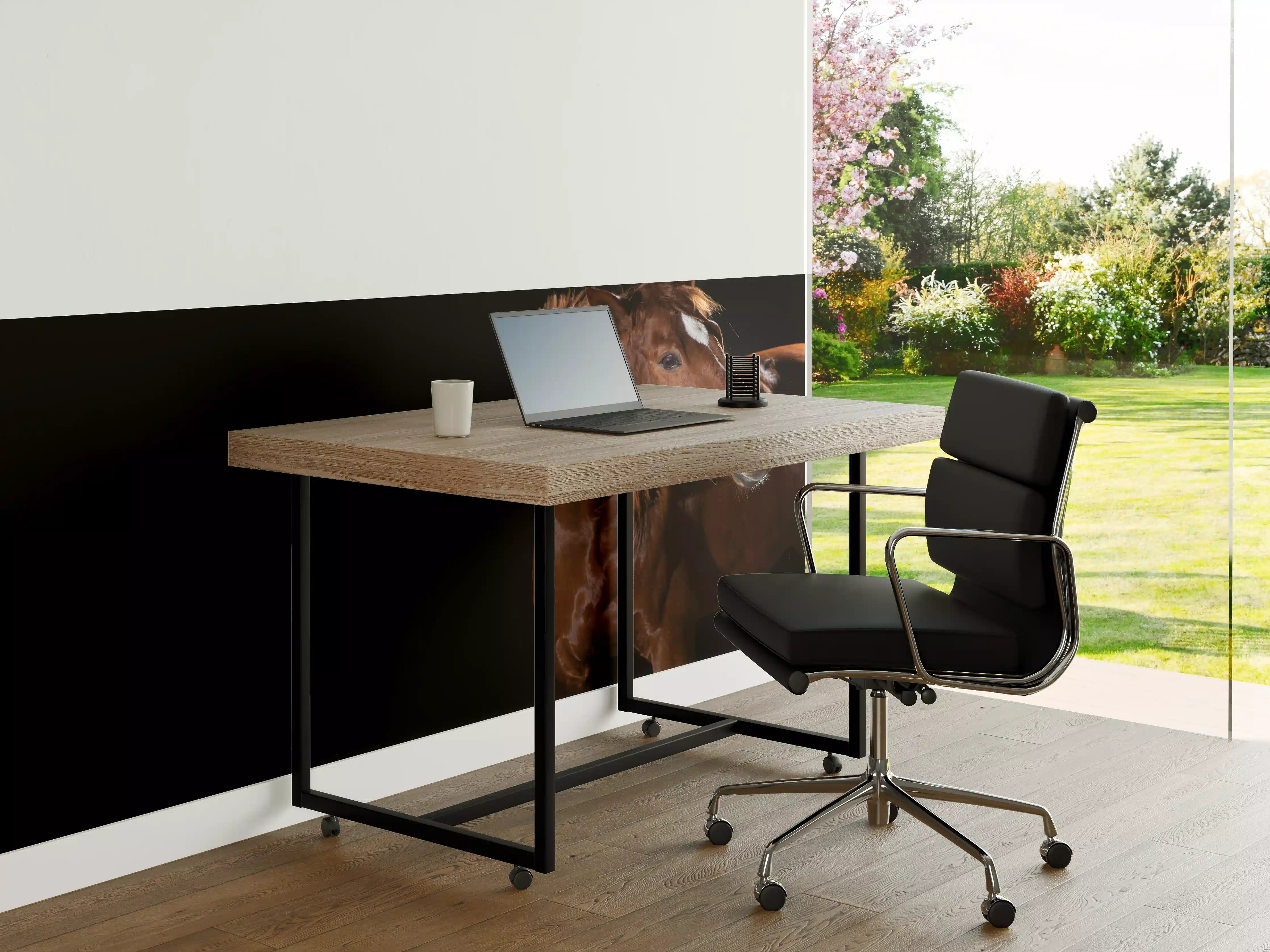 Büro Wandgestaltung - Pferdeporträt auf schwarzem Hintergrund