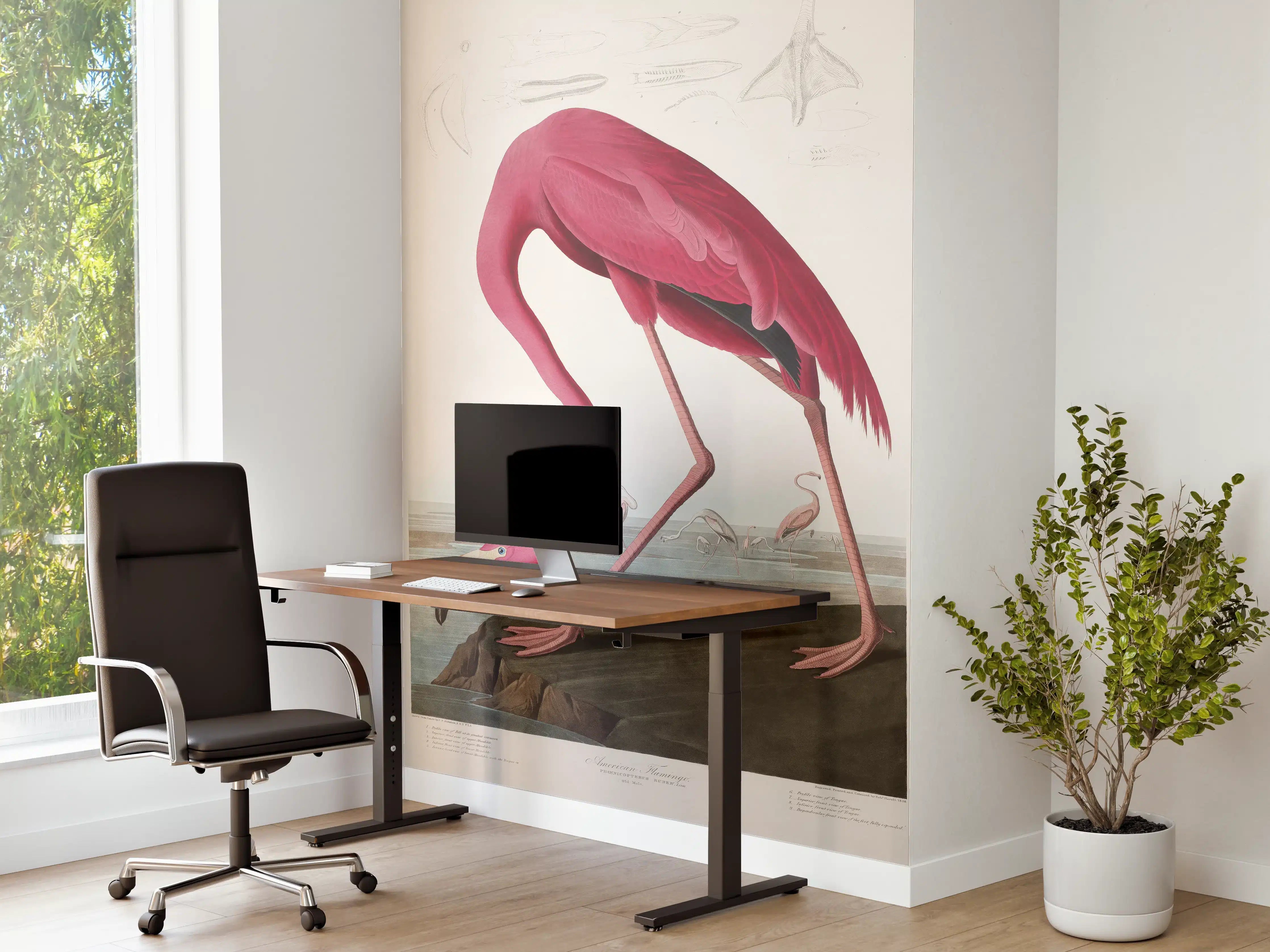 Büro Wandgestaltung - Pinker Flamingo - John James Audubon