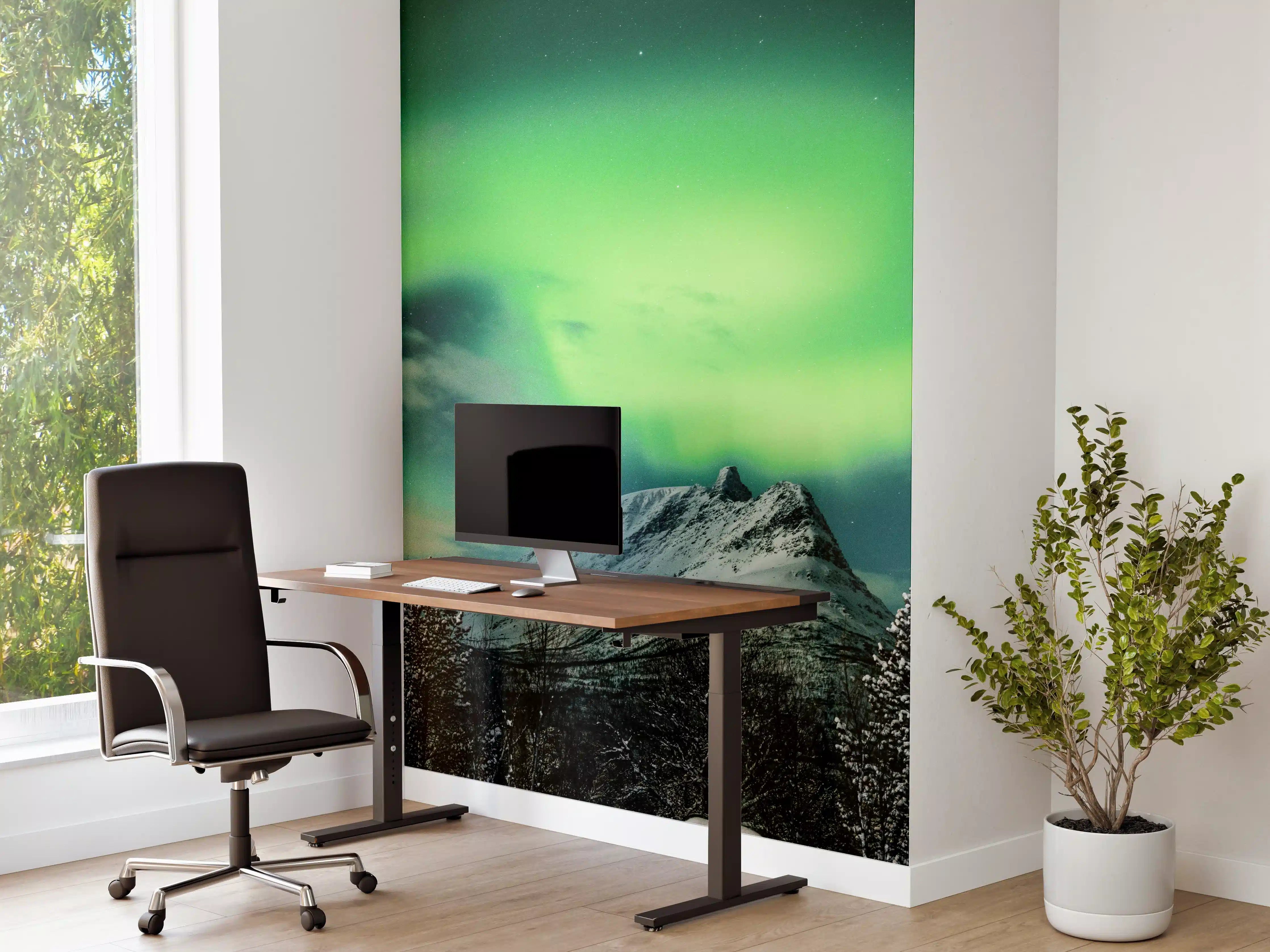 Büro Wandgestaltung - Polarlichter über Berg in Nordnorwegen