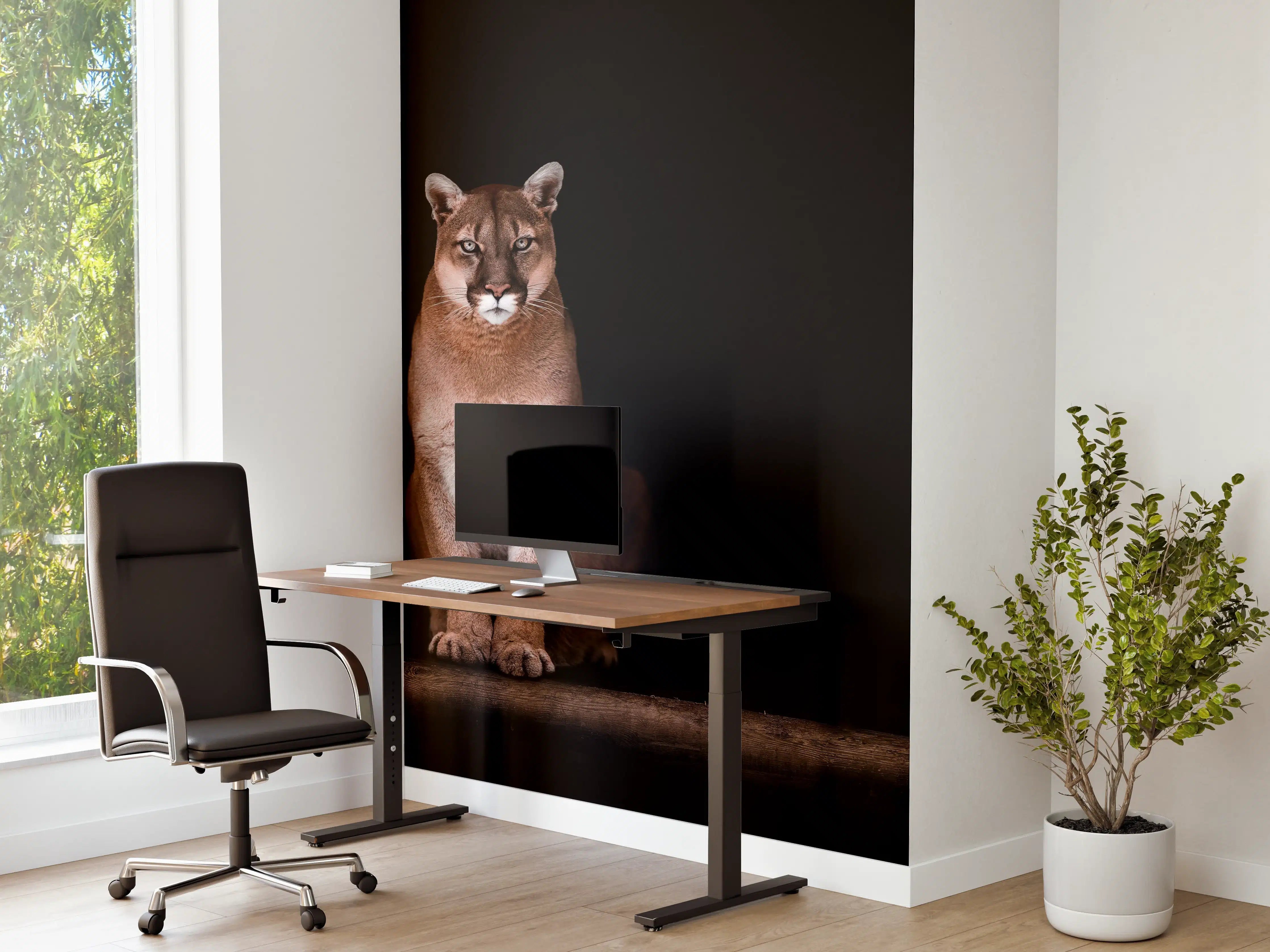 Büro Wandgestaltung - Porträt des schönen Pumas