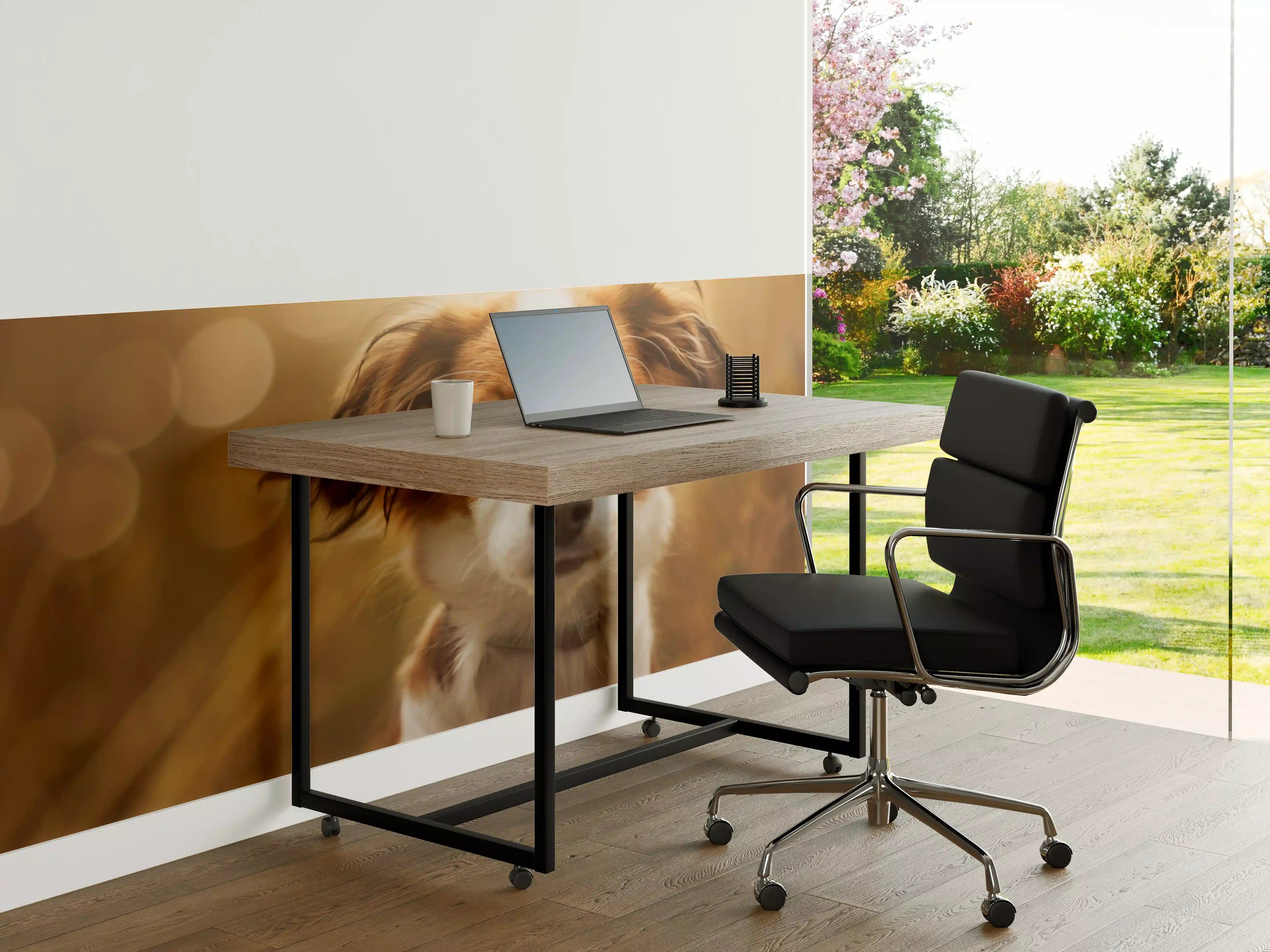 Büro Wandgestaltung - Portrait eines süßen Kooiker Hundes