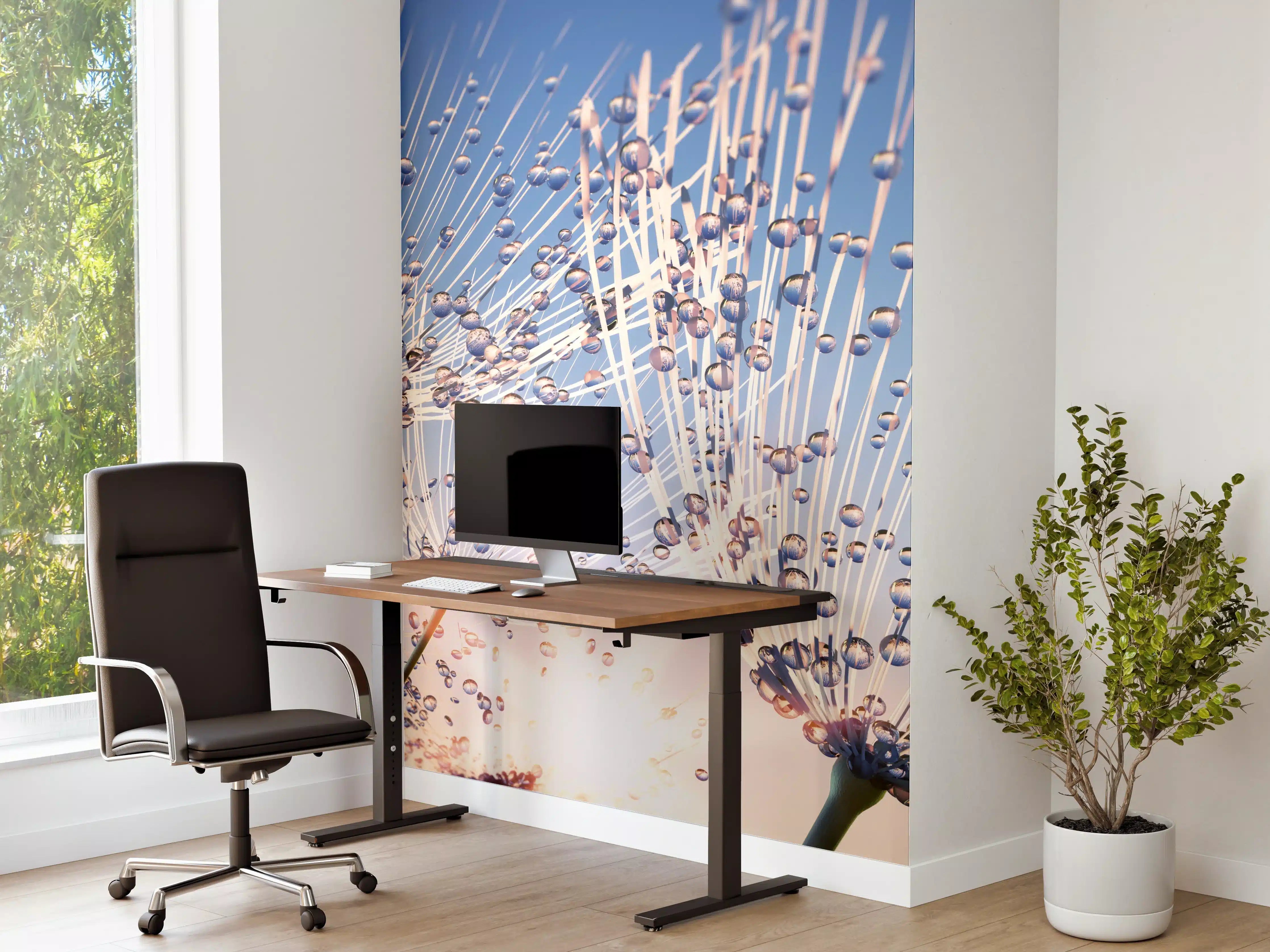 Büro Wandgestaltung - Pusteblume mit Tautropfen