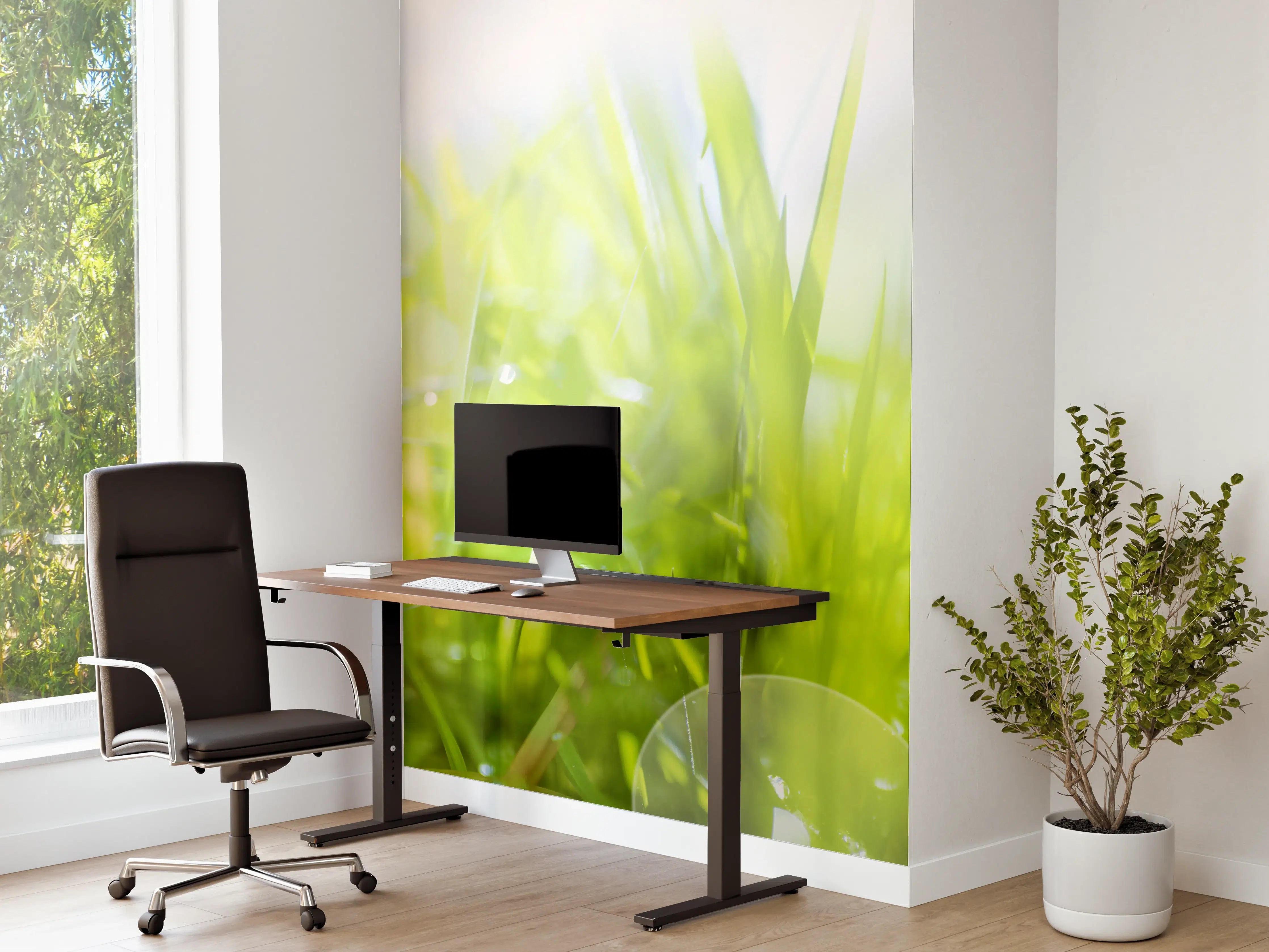 Büro Wandgestaltung - Pusteblumen auf grüner Wiese