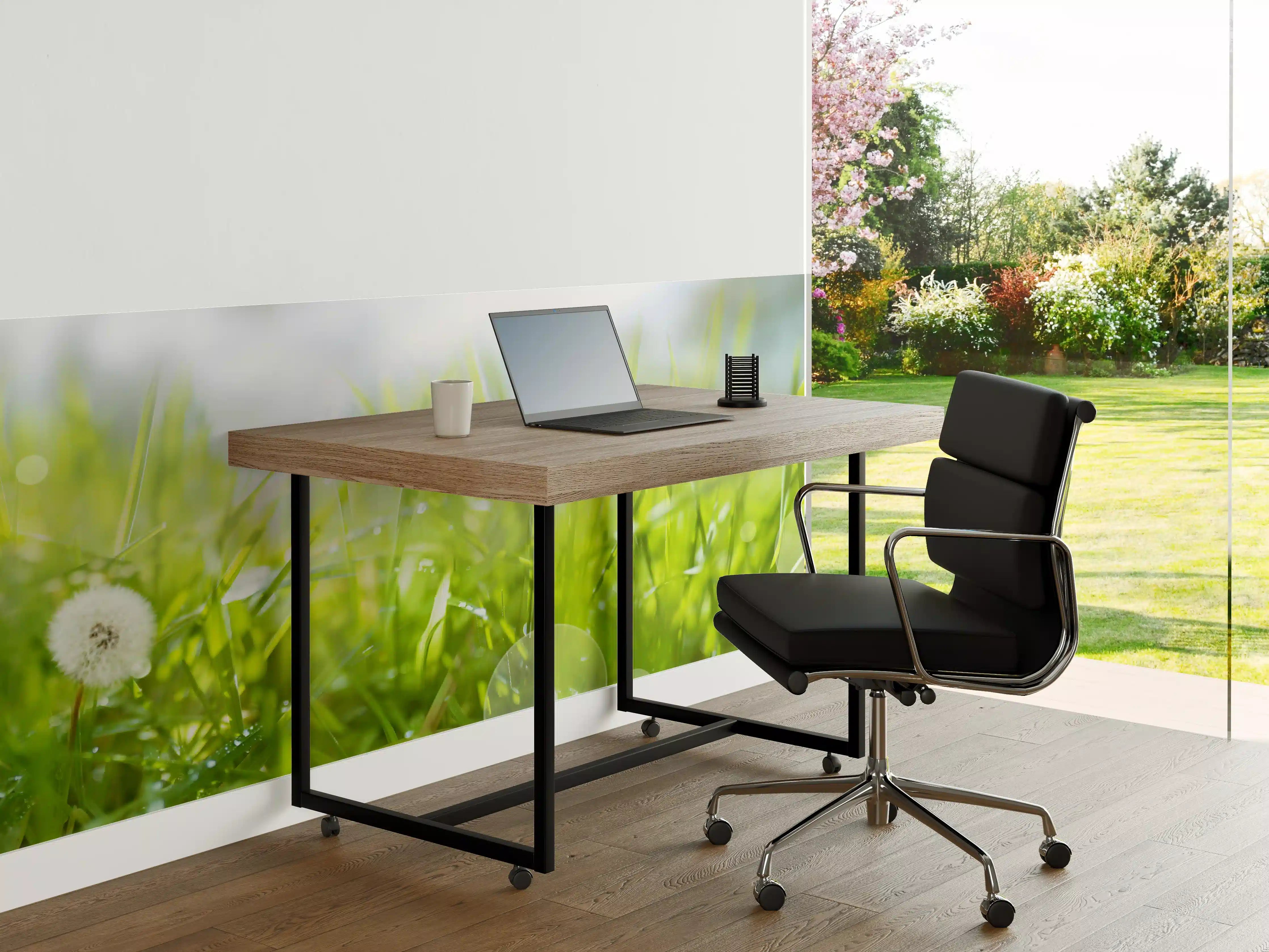 Büro Wandgestaltung - Pusteblumen auf grüner Wiese