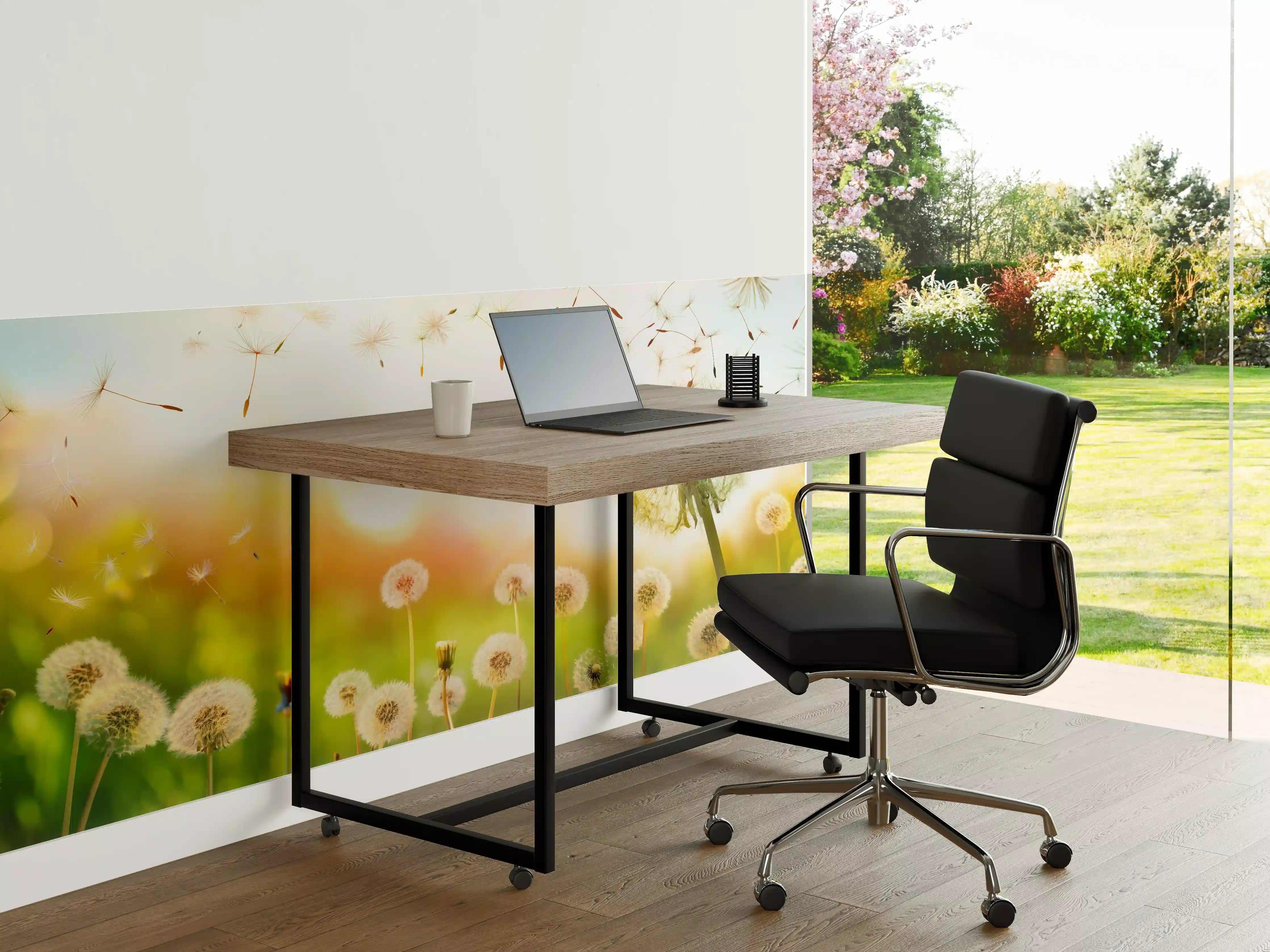 Büro Wandgestaltung - Pusteblumen im goldenen Licht