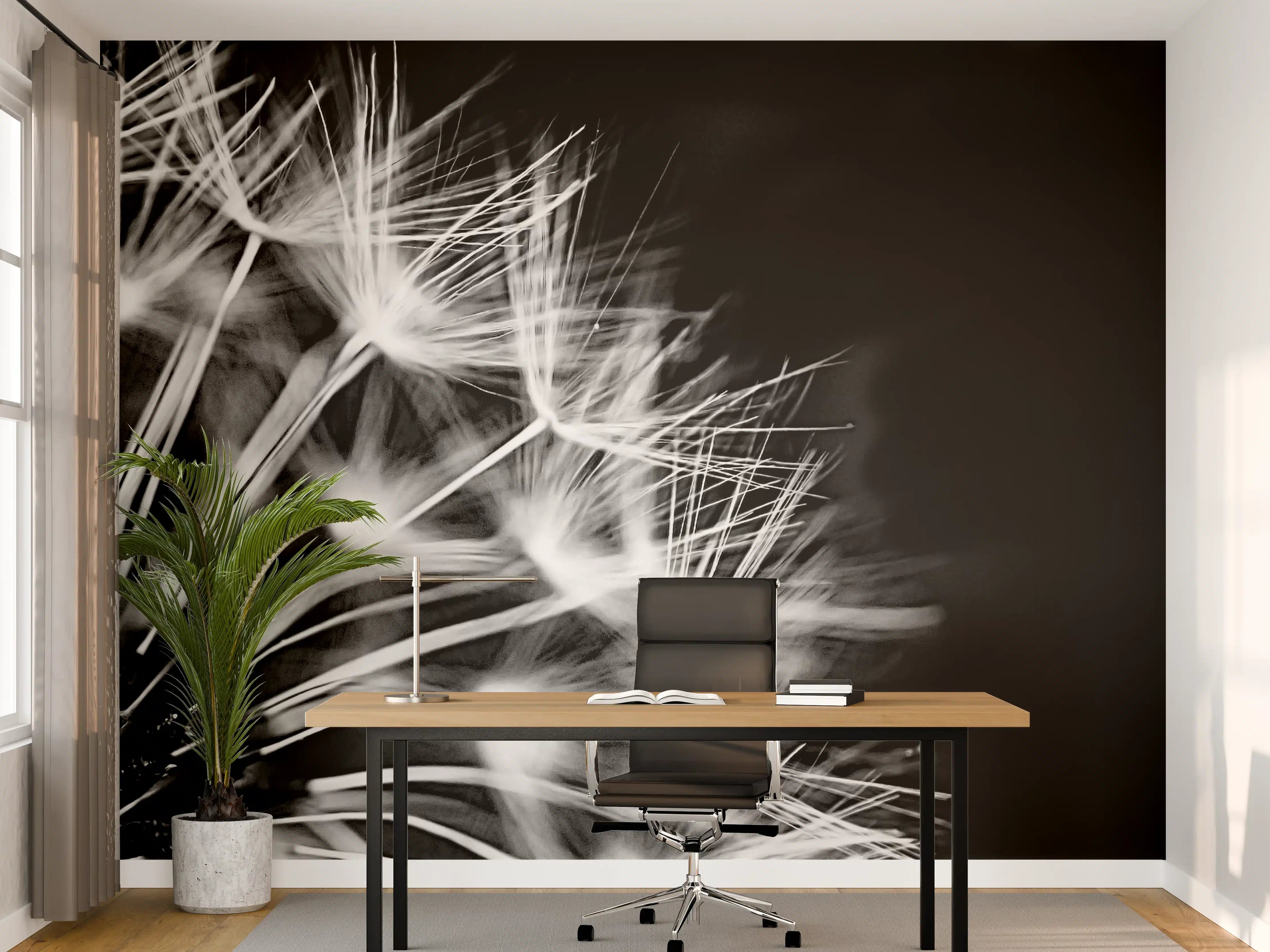 Büro Wandgestaltung - Pusteblumen schwarz-weiß Hintergrund