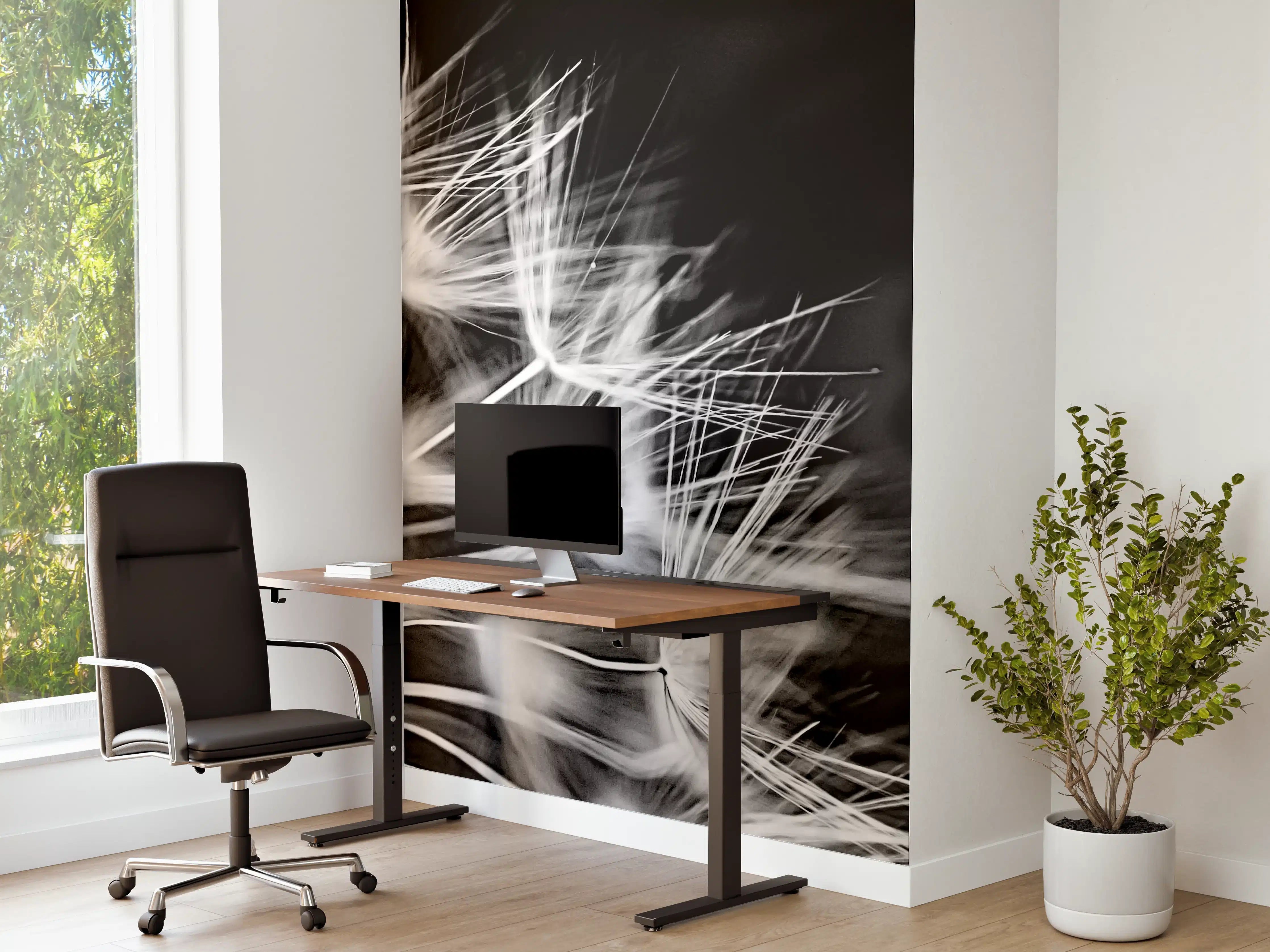 Büro Wandgestaltung - Pusteblumen schwarz-weiß Hintergrund