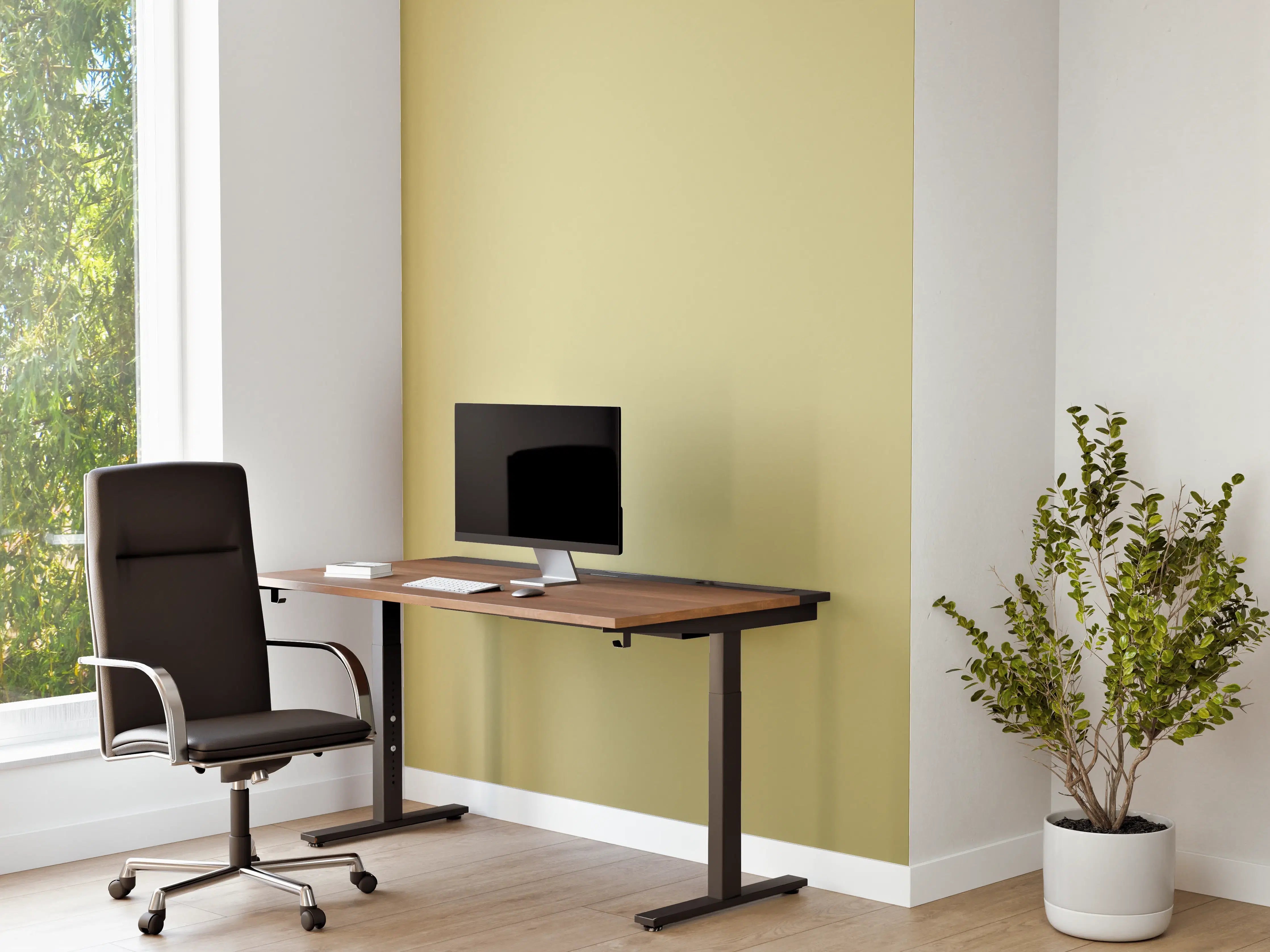 Büro Wandgestaltung - RAL 1000 (Grünbeige)