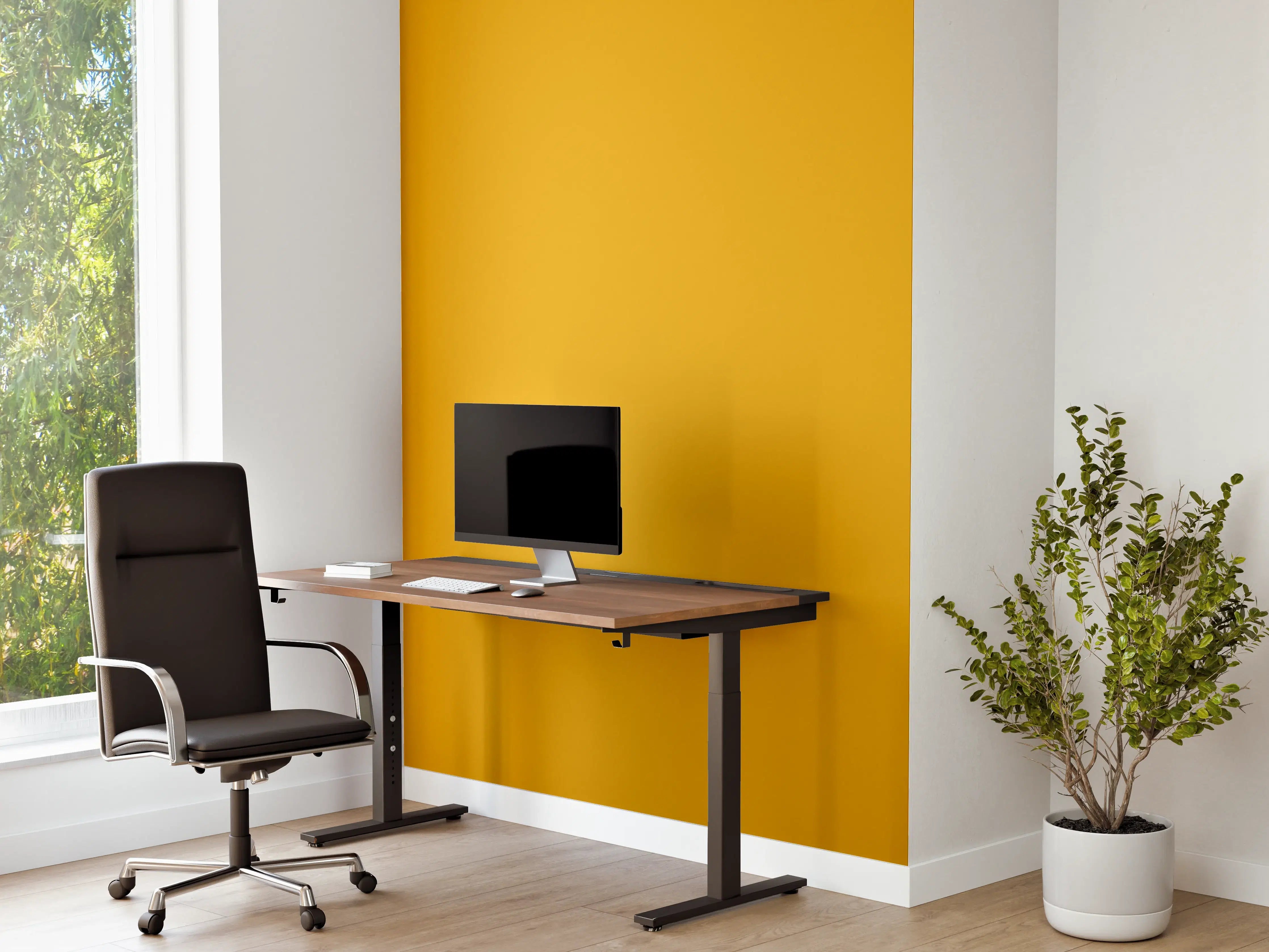 Büro Wandgestaltung - RAL 1006 (Maisgelb)