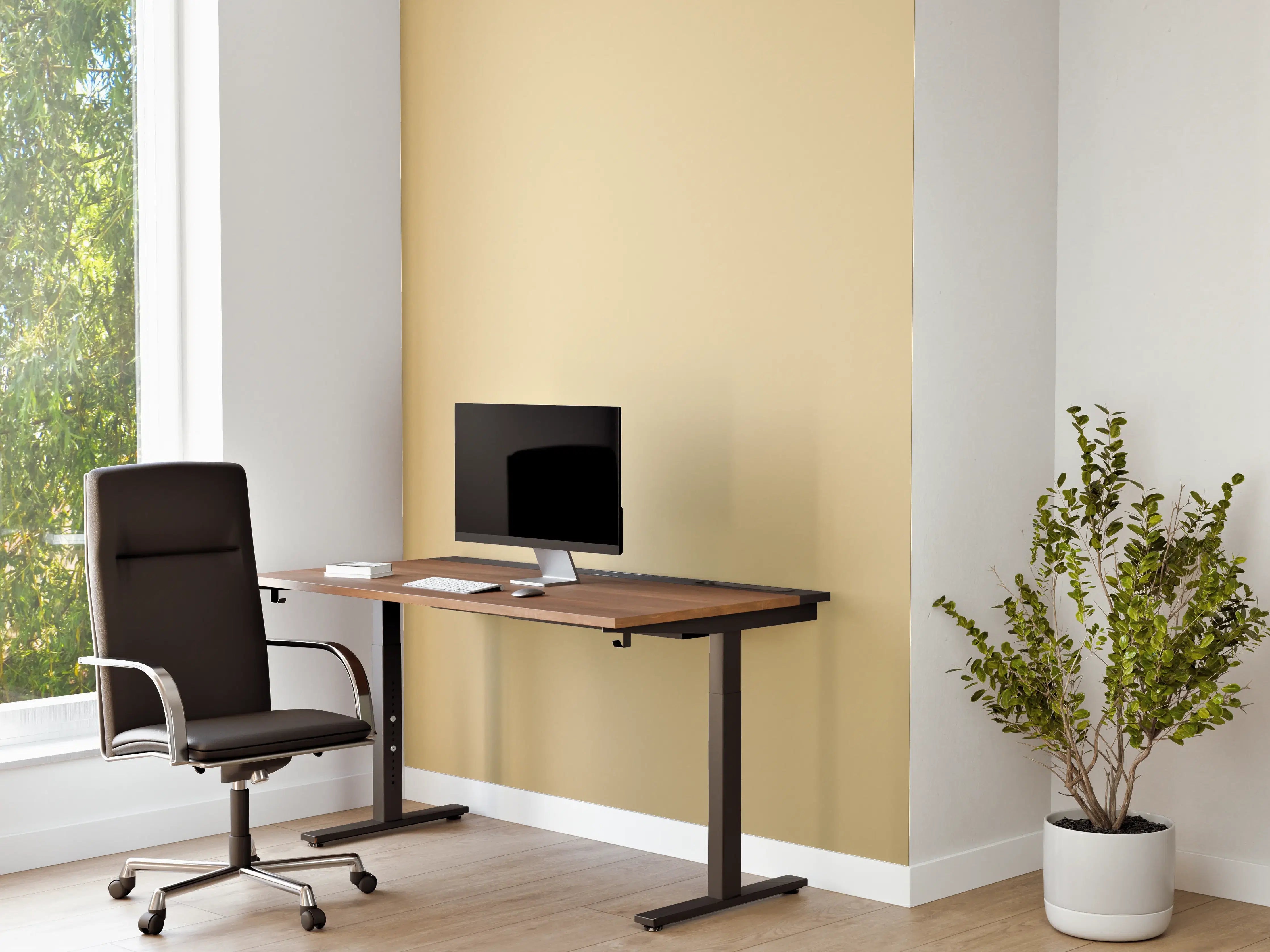 Büro Wandgestaltung - RAL 1014 (Elfenbein)