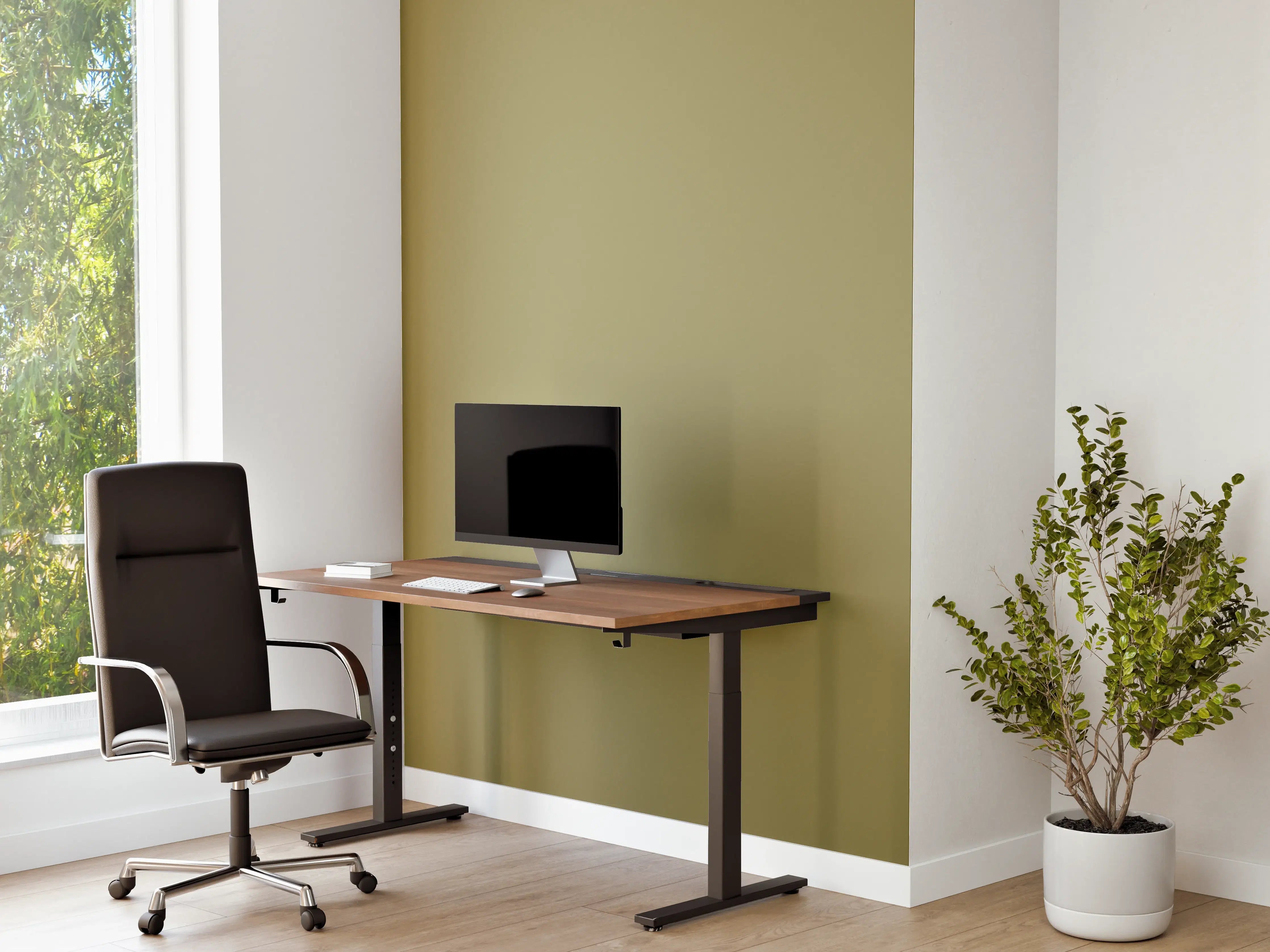 Büro Wandgestaltung - RAL 1020 (olivgelb)