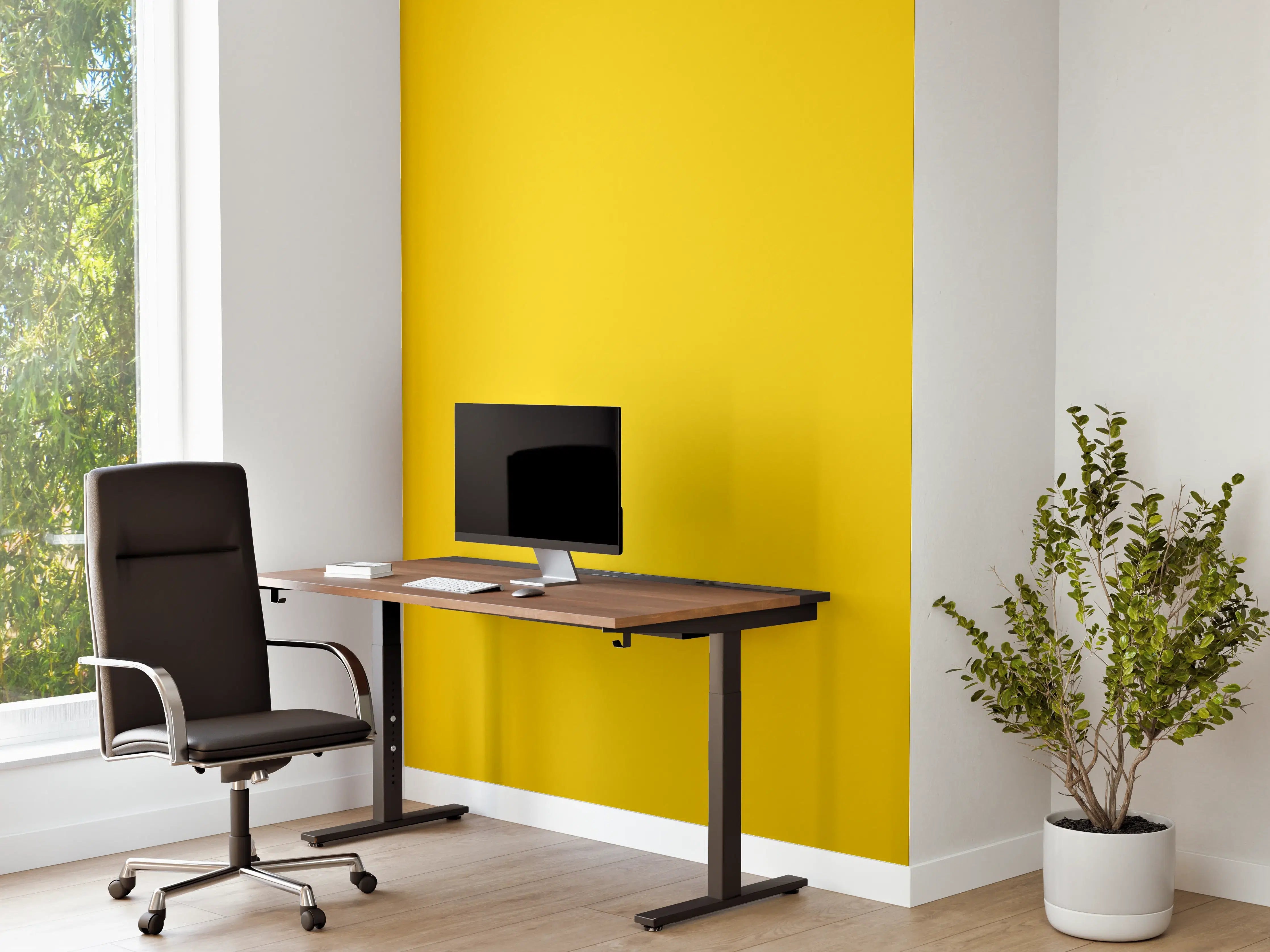 Büro Wandgestaltung - RAL 1021 (Rapsgelb)