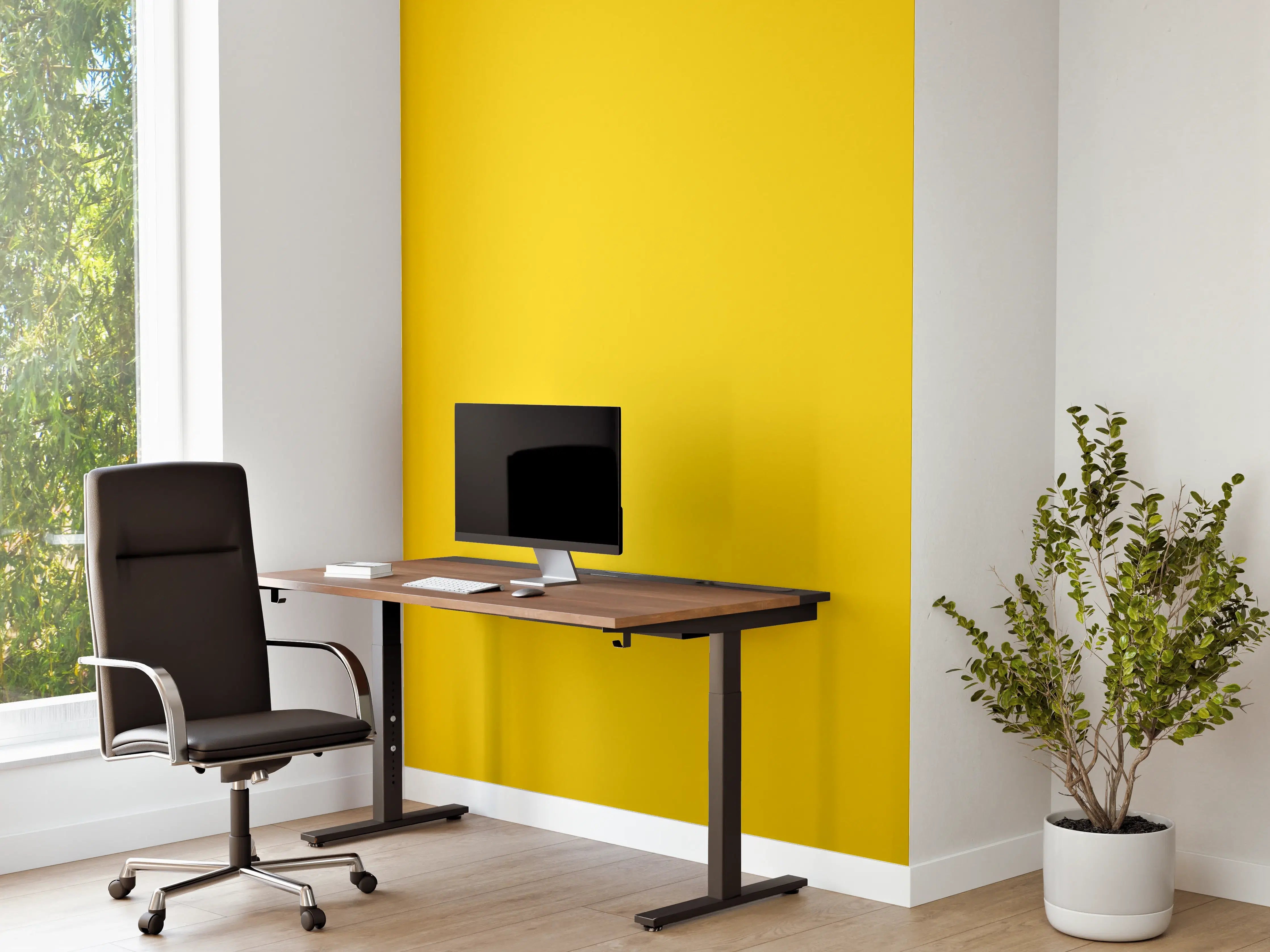 Büro Wandgestaltung - RAL 1023 Gelbgelb