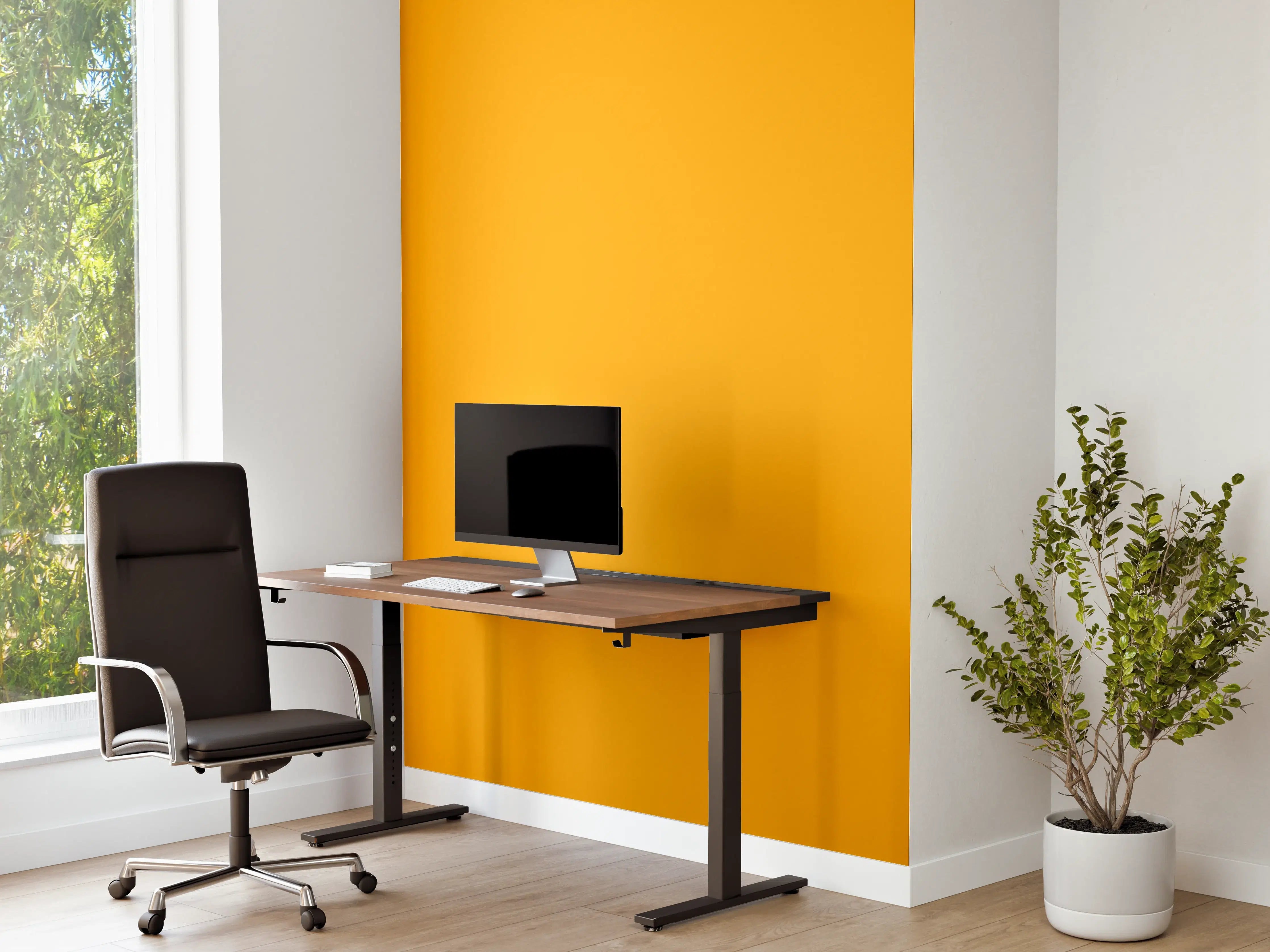 Büro Wandgestaltung - RAL 1028 (Melonengelb)